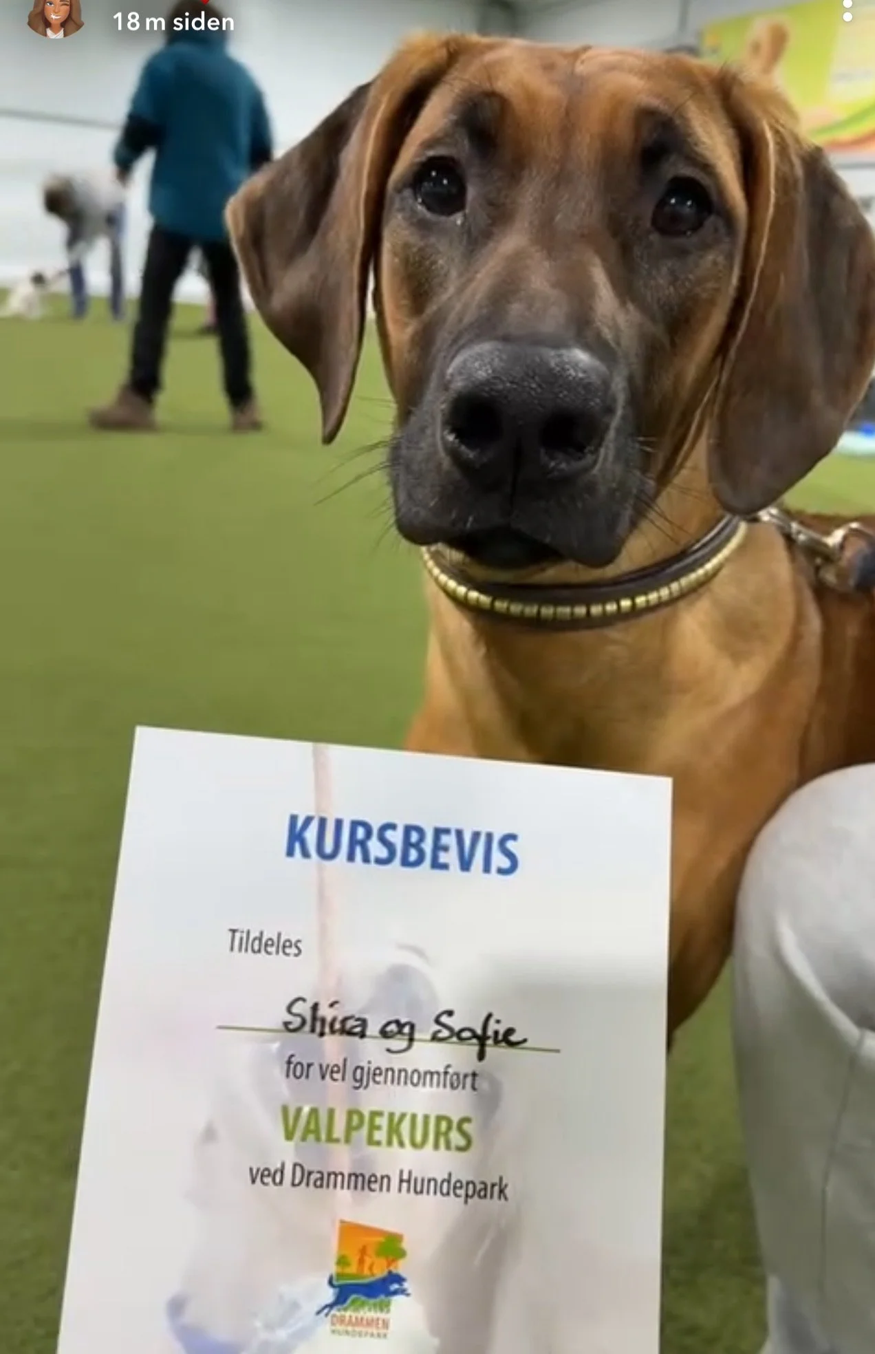 Skjermbilde 2026–01–06 kl. 18.34.03.jpeg