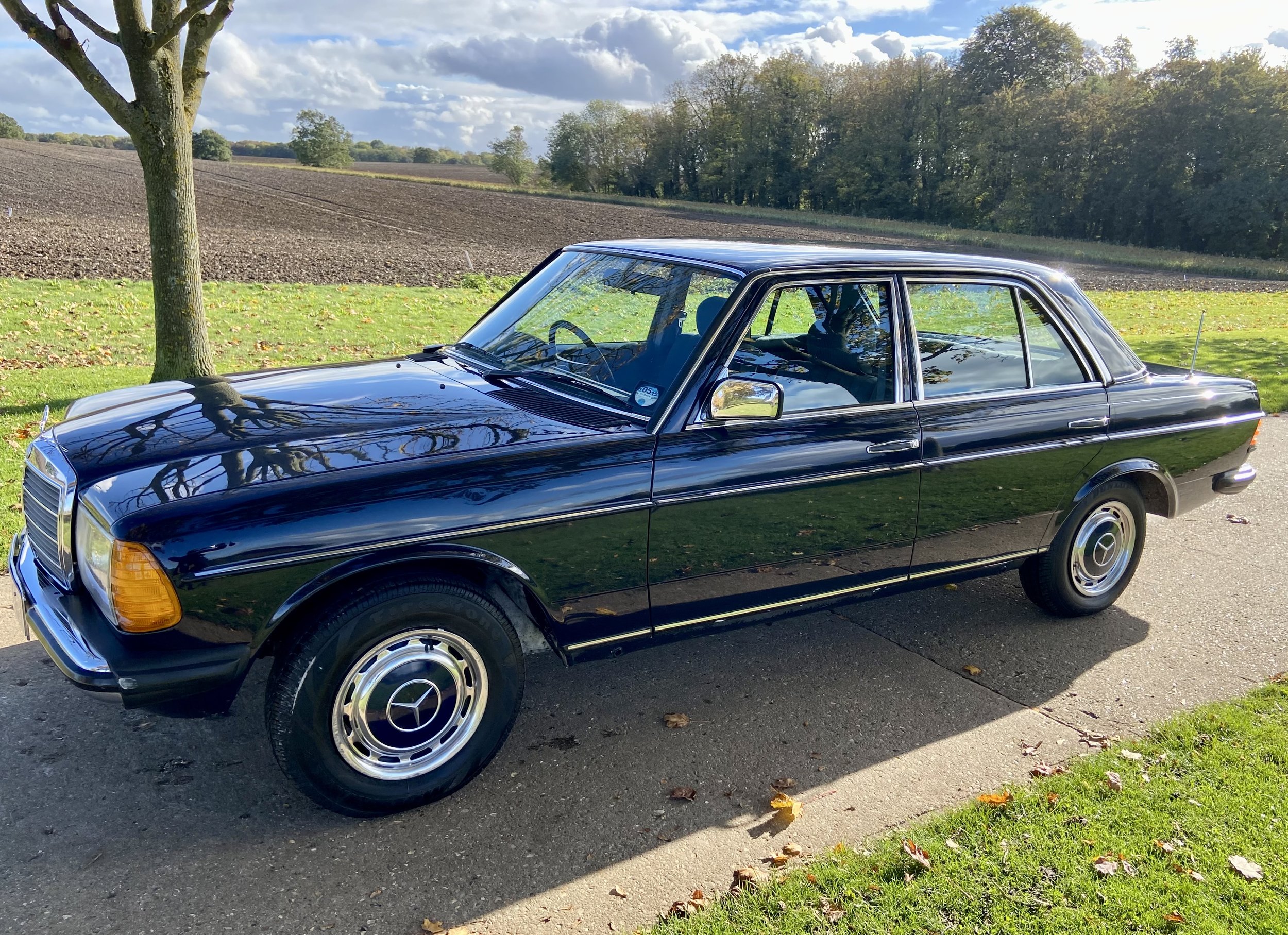 mercedes230eforsaleside.jpeg