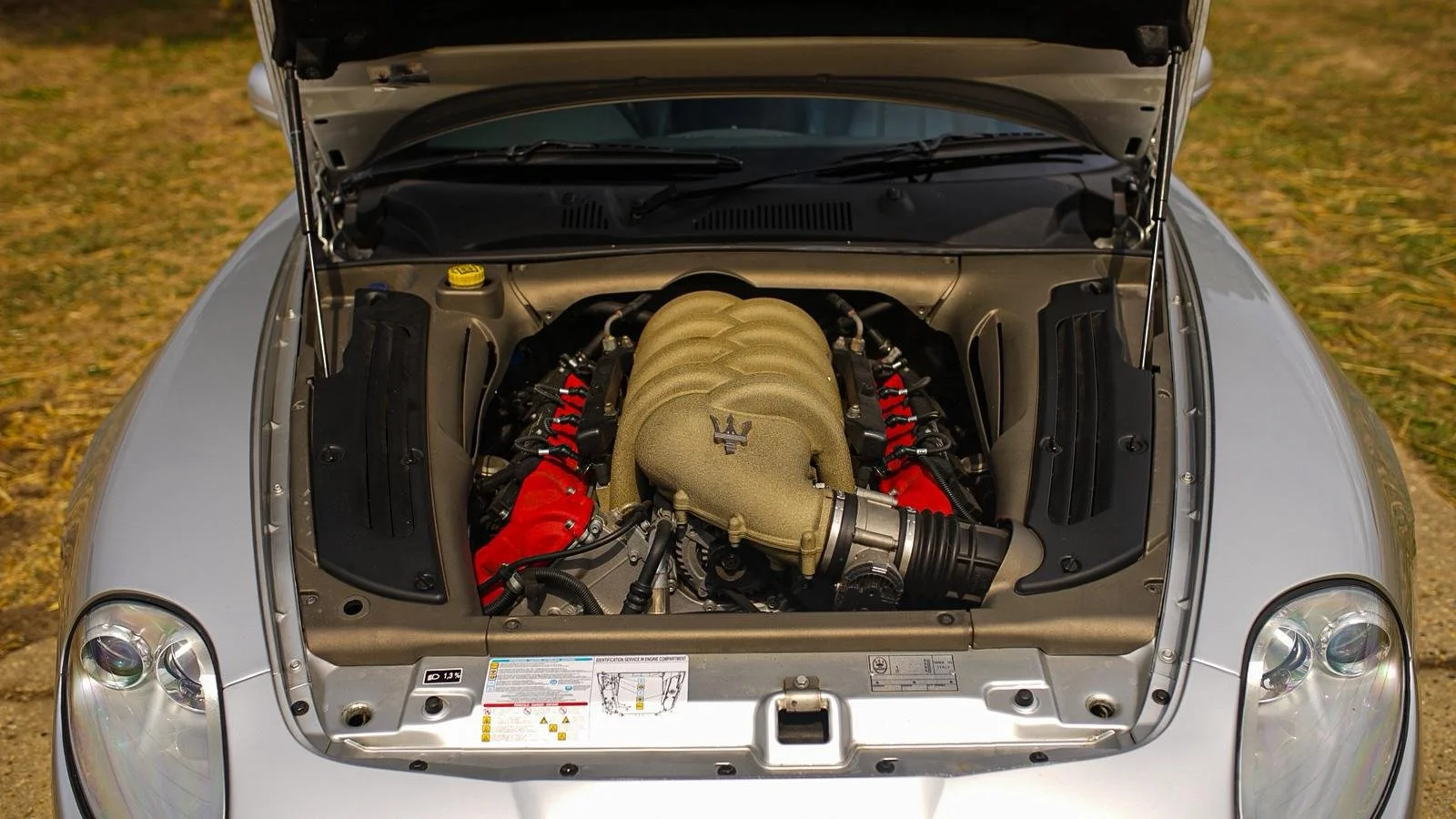 WhatsApp Image 2025-10-21 at 12.48.38.jpeg