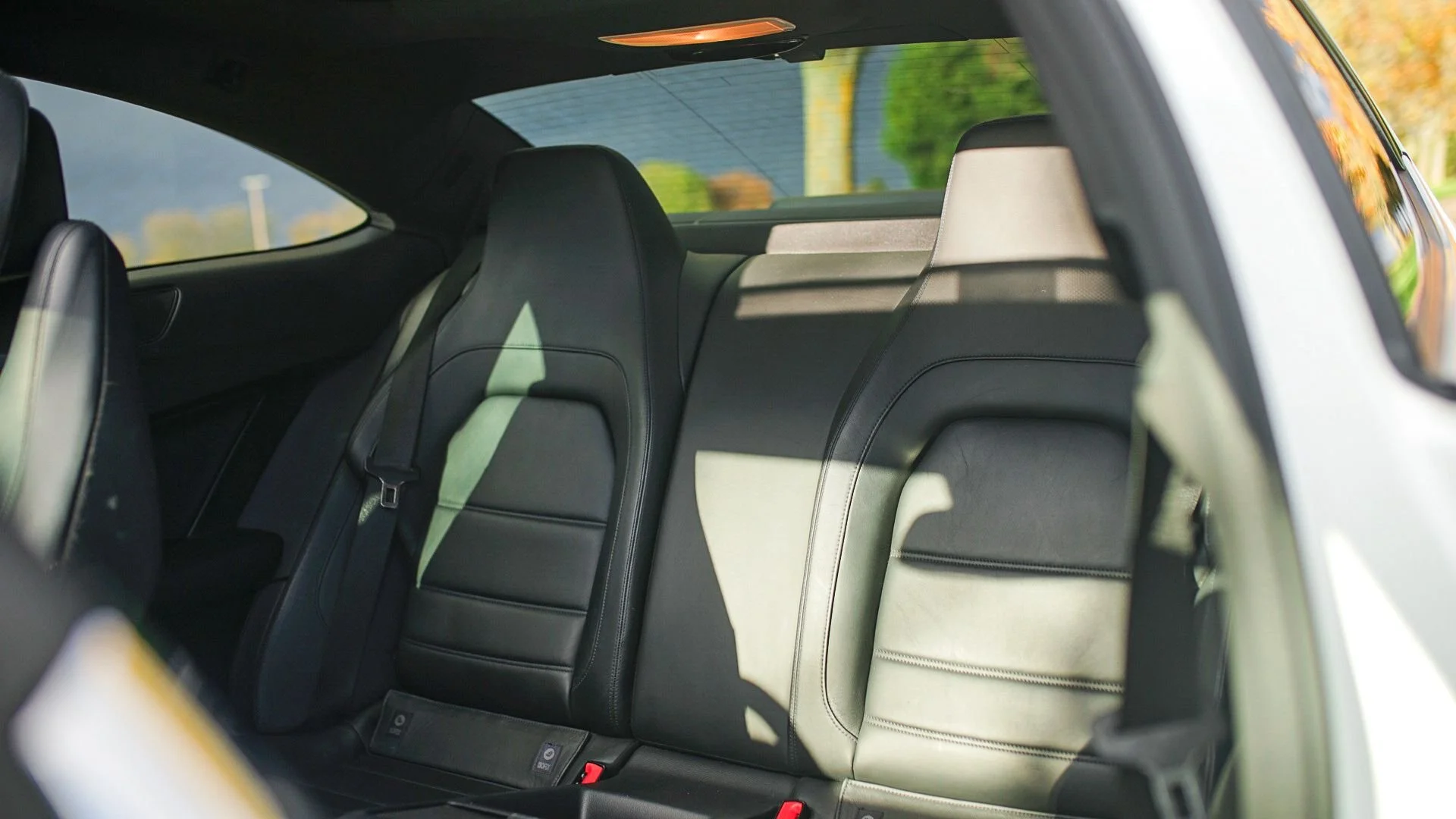 WhatsApp Image 2025-10-30 at 19.07.10 (2).jpeg