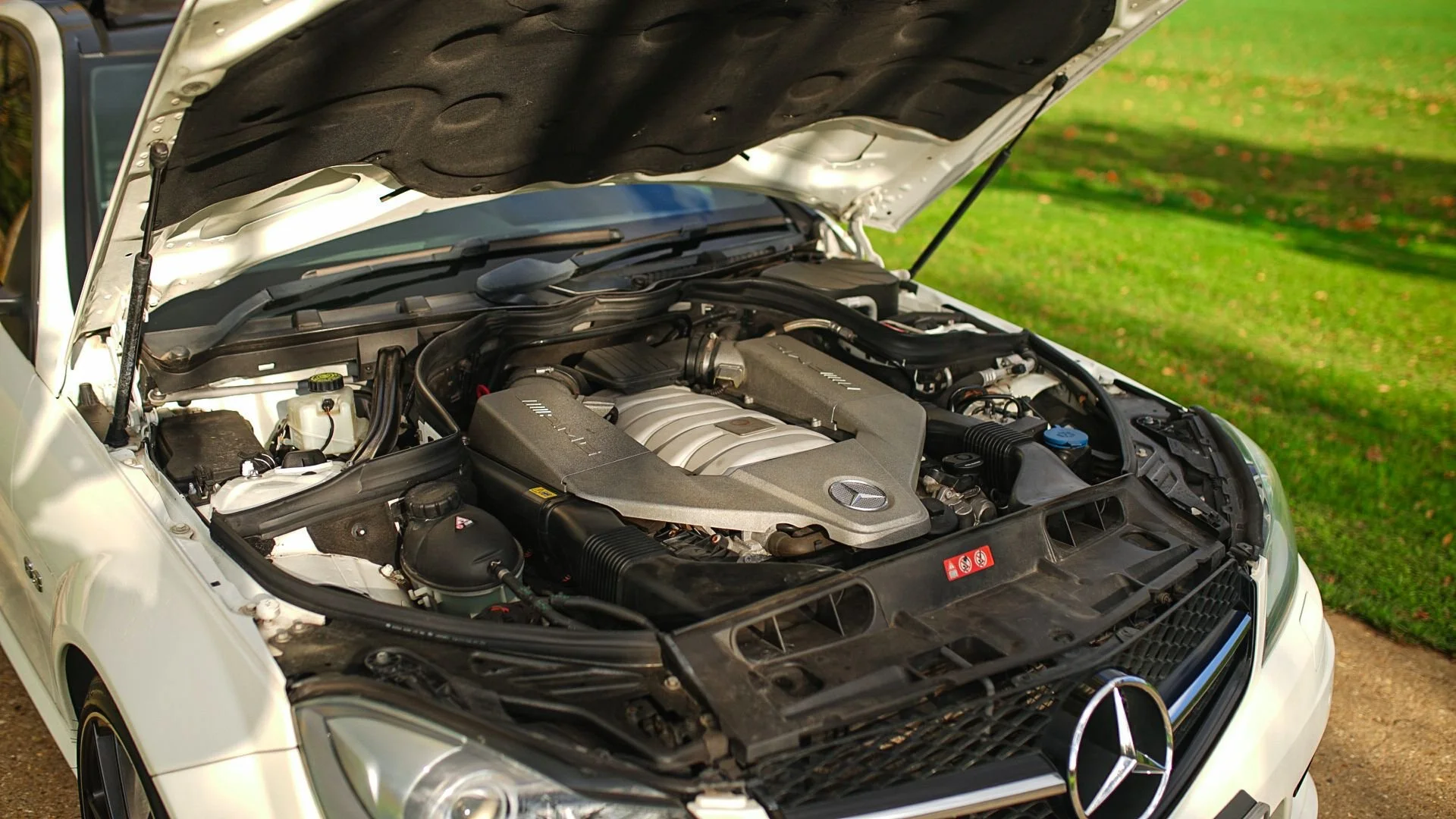 WhatsApp Image 2025-10-30 at 19.07.11.jpeg