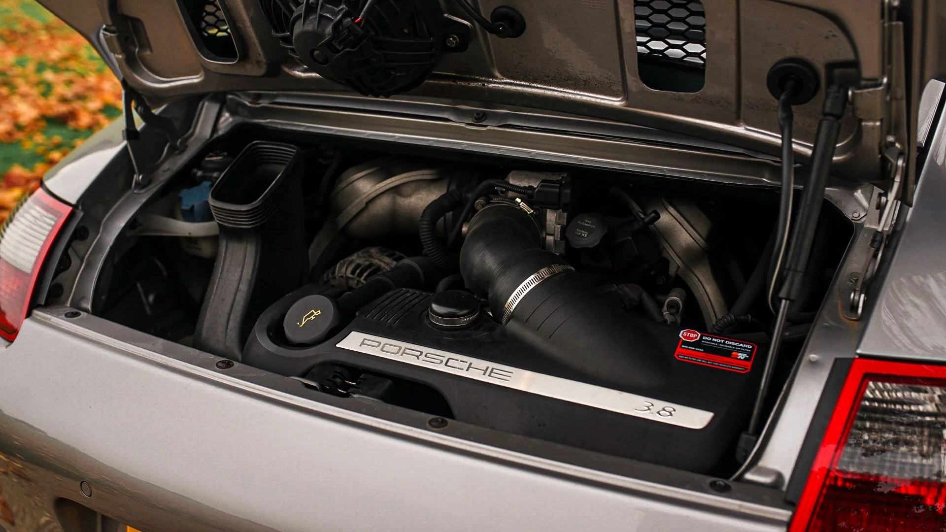 WhatsApp Image 2025-10-31 at 12.13.23.jpeg