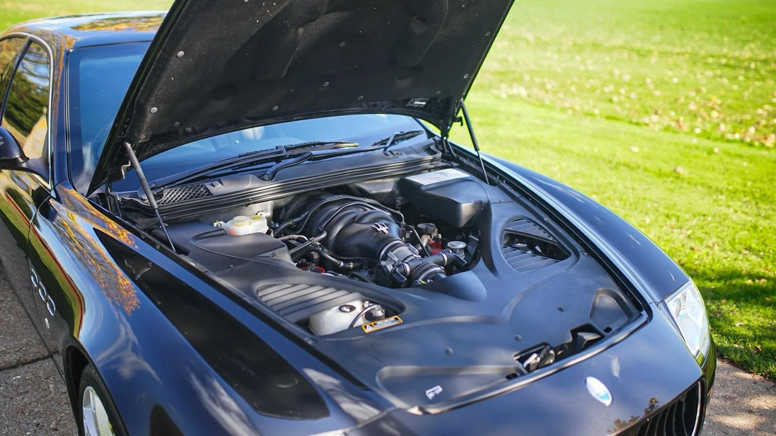 WhatsApp Image 2025-10-24 at 12.18.16 (5).jpeg