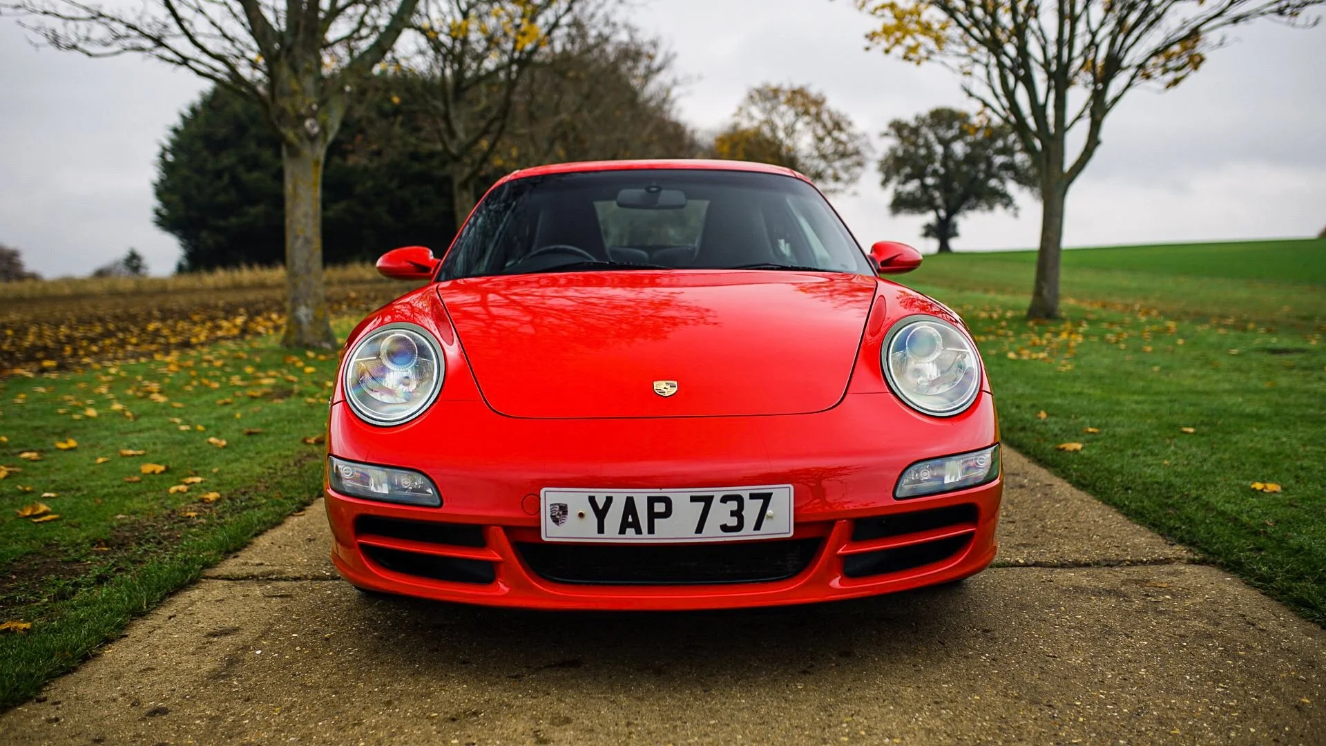 WhatsApp Image 2025-11-10 at 10.31.05.jpeg