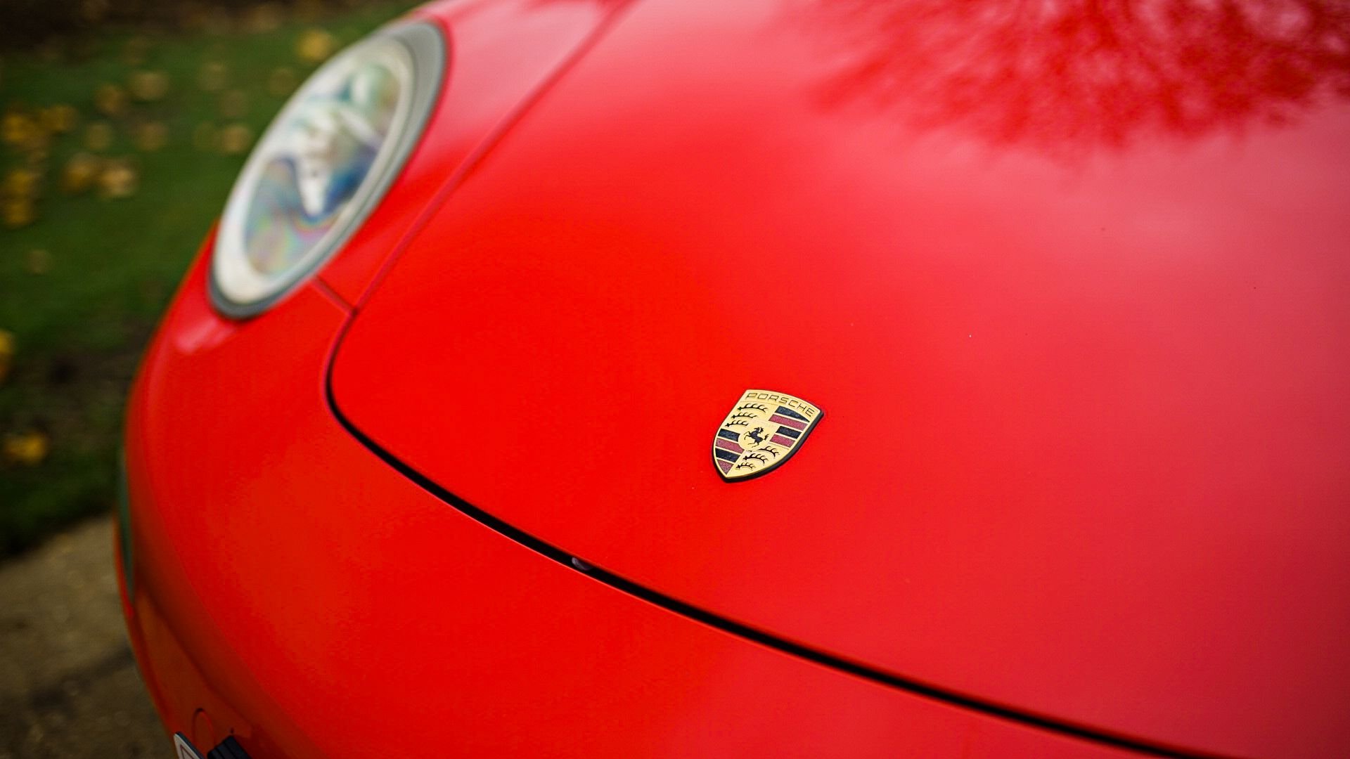 WhatsApp Image 2025-11-10 at 10.31.11.jpeg