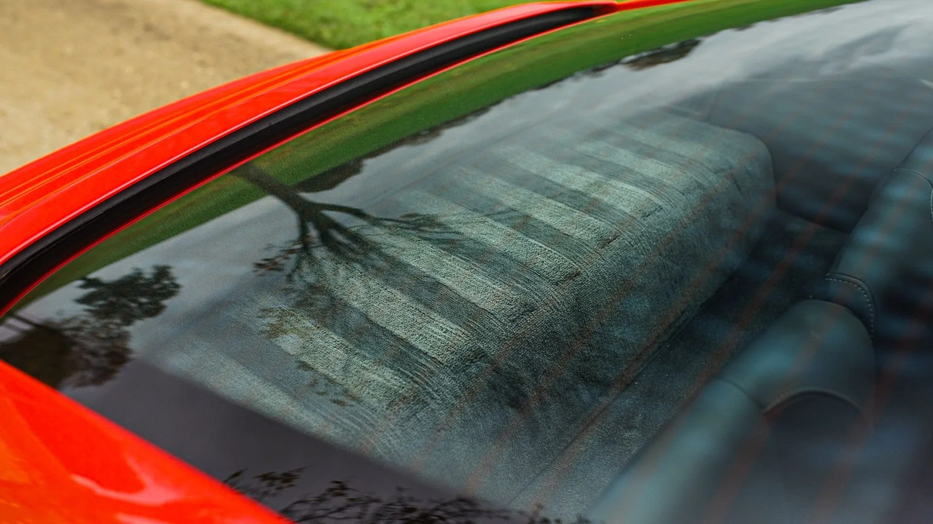 WhatsApp Image 2025-11-10 at 10.31.16.jpeg