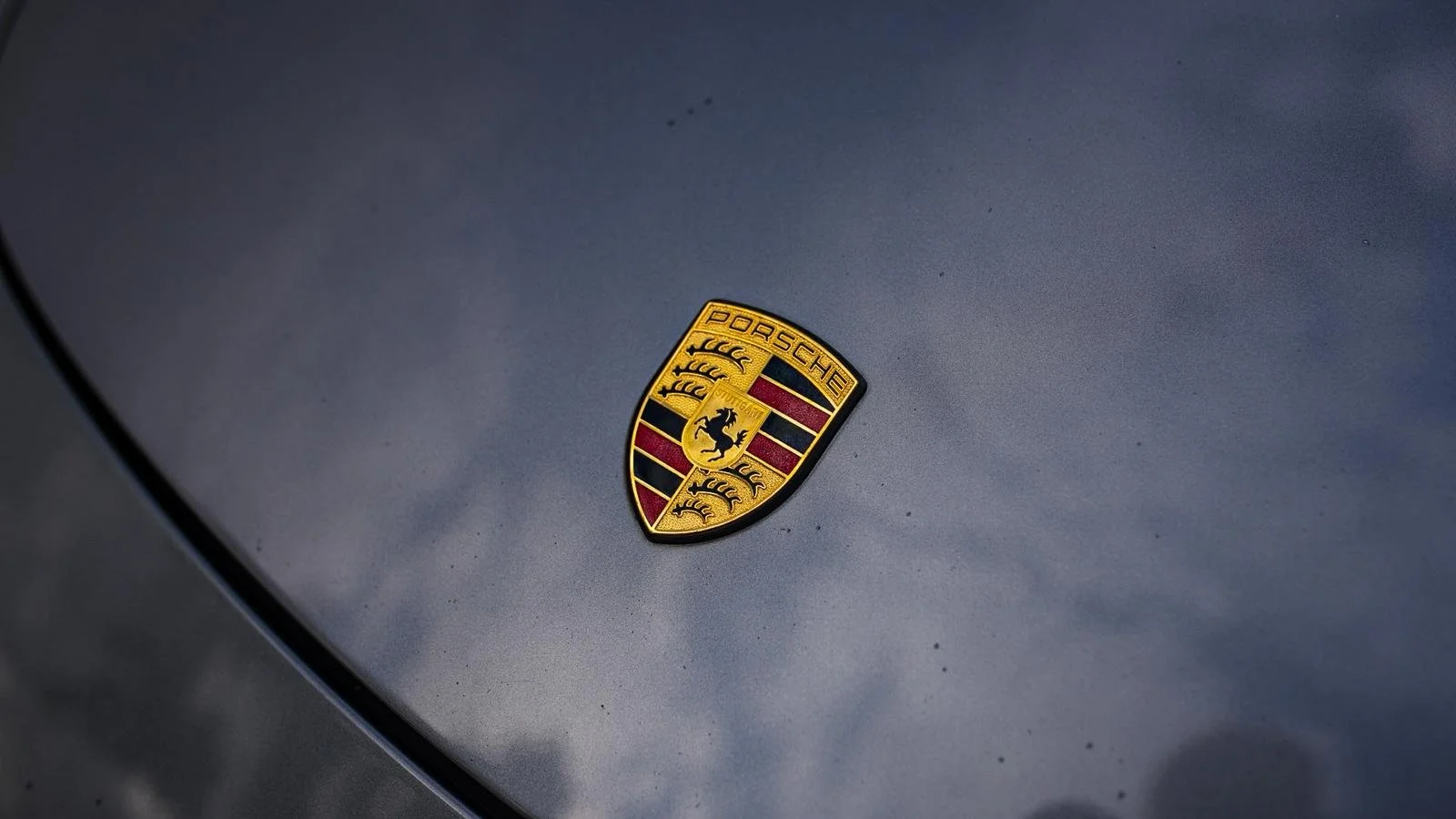 WhatsApp Image 2025-08-18 at 16.52.37.jpeg