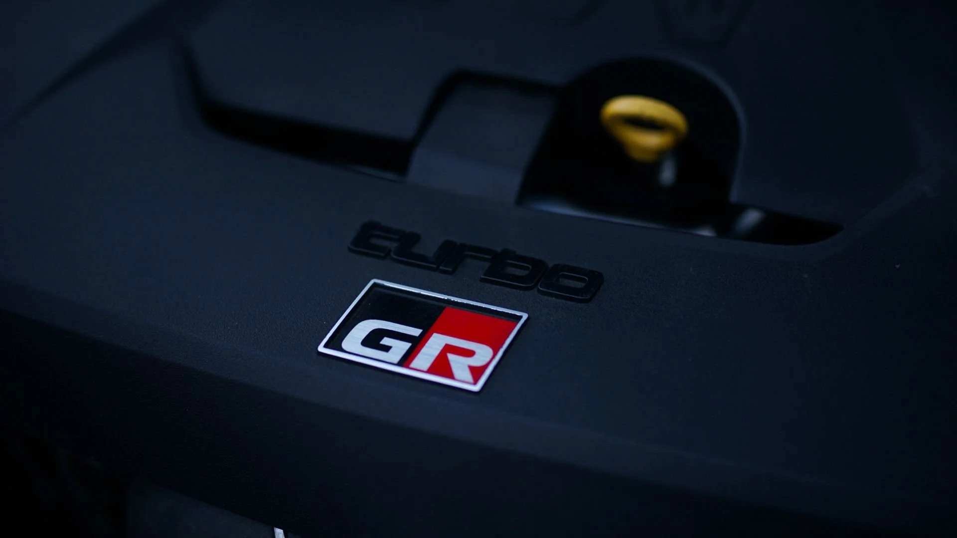 WhatsApp Image 2025-11-25 at 11.59.19.jpeg