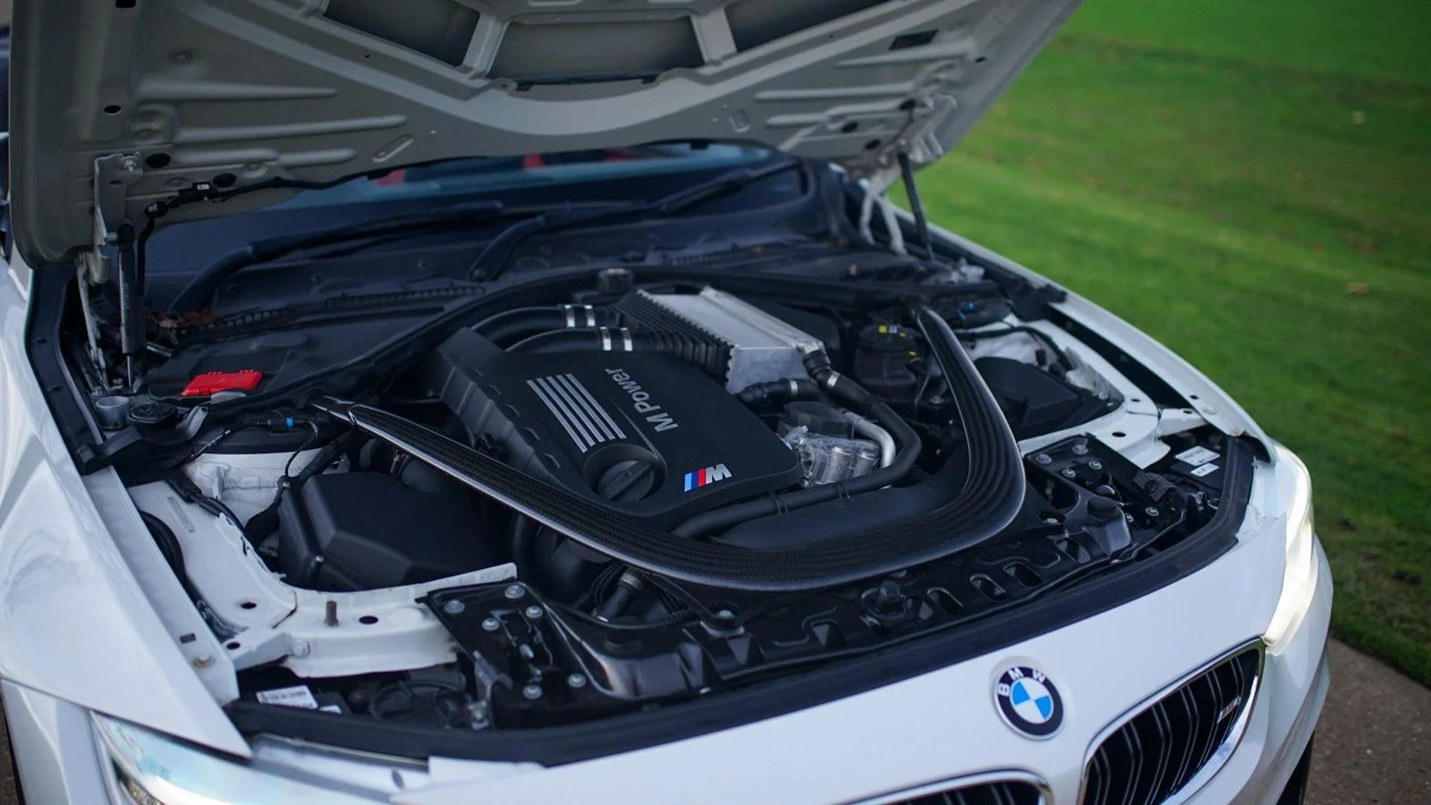 WhatsApp Image 2025-11-25 at 16.21.59 (2).jpeg