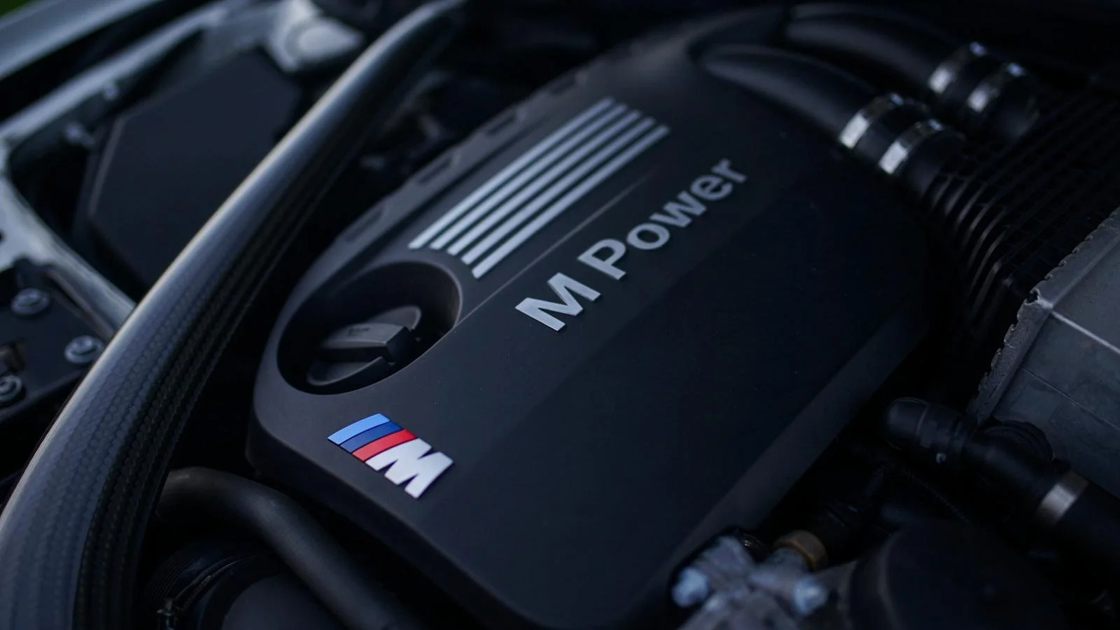 WhatsApp Image 2025-11-25 at 16.22.00.jpeg