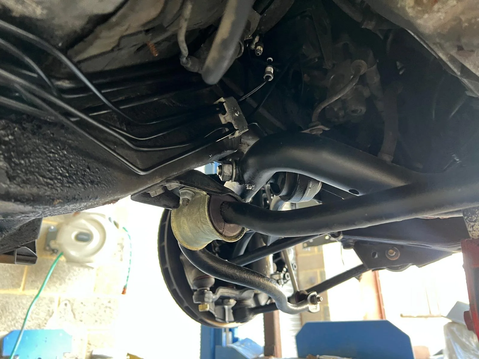 WhatsApp Image 2026-02-15 at 20.45.55 (5).jpeg