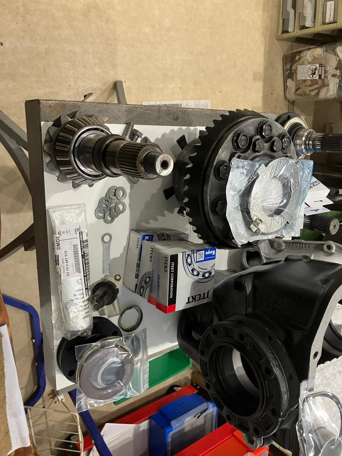 WhatsApp Image 2026-02-15 at 20.55.19.jpeg