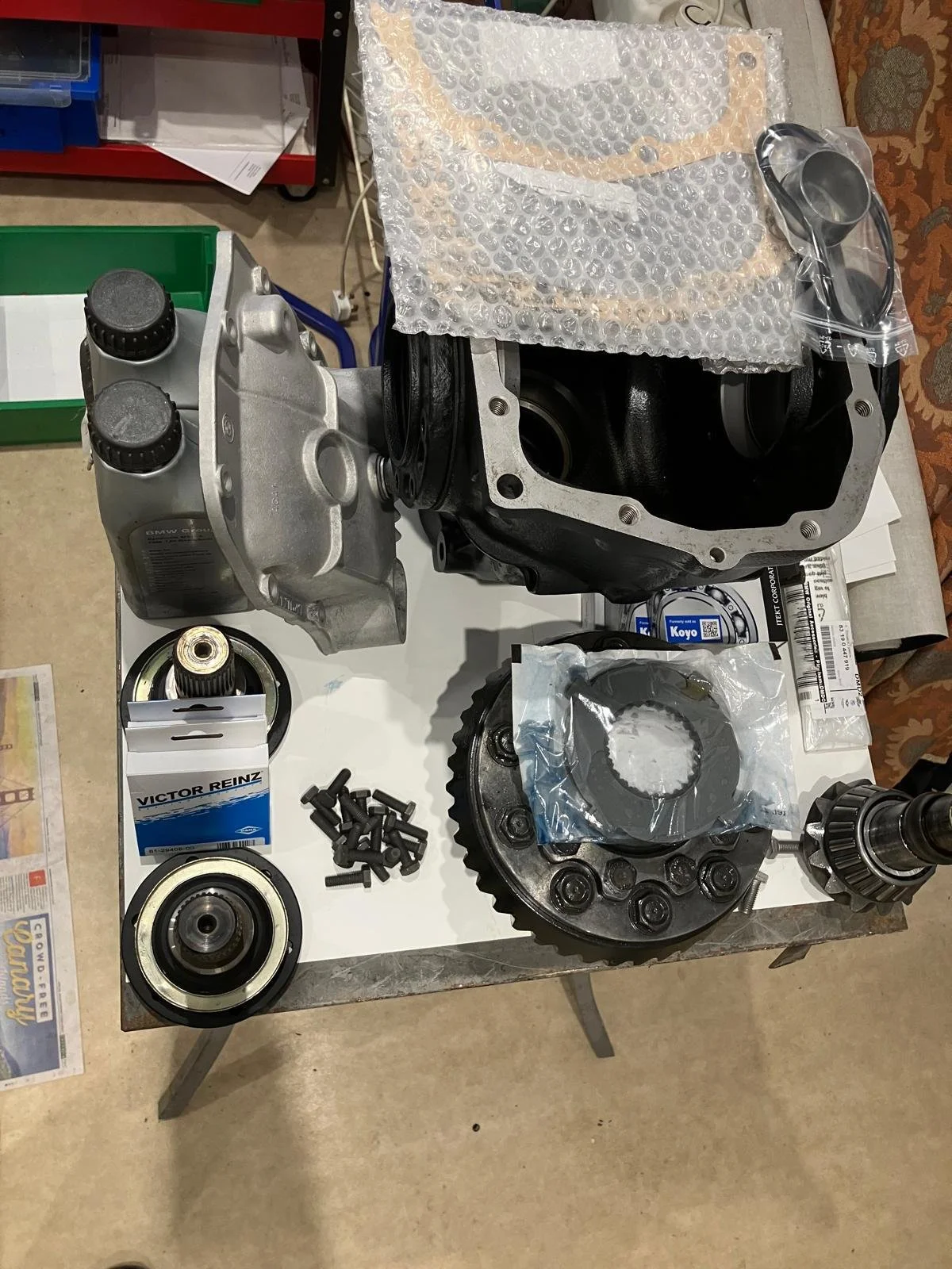 WhatsApp Image 2026-02-15 at 20.55.18 (3).jpeg