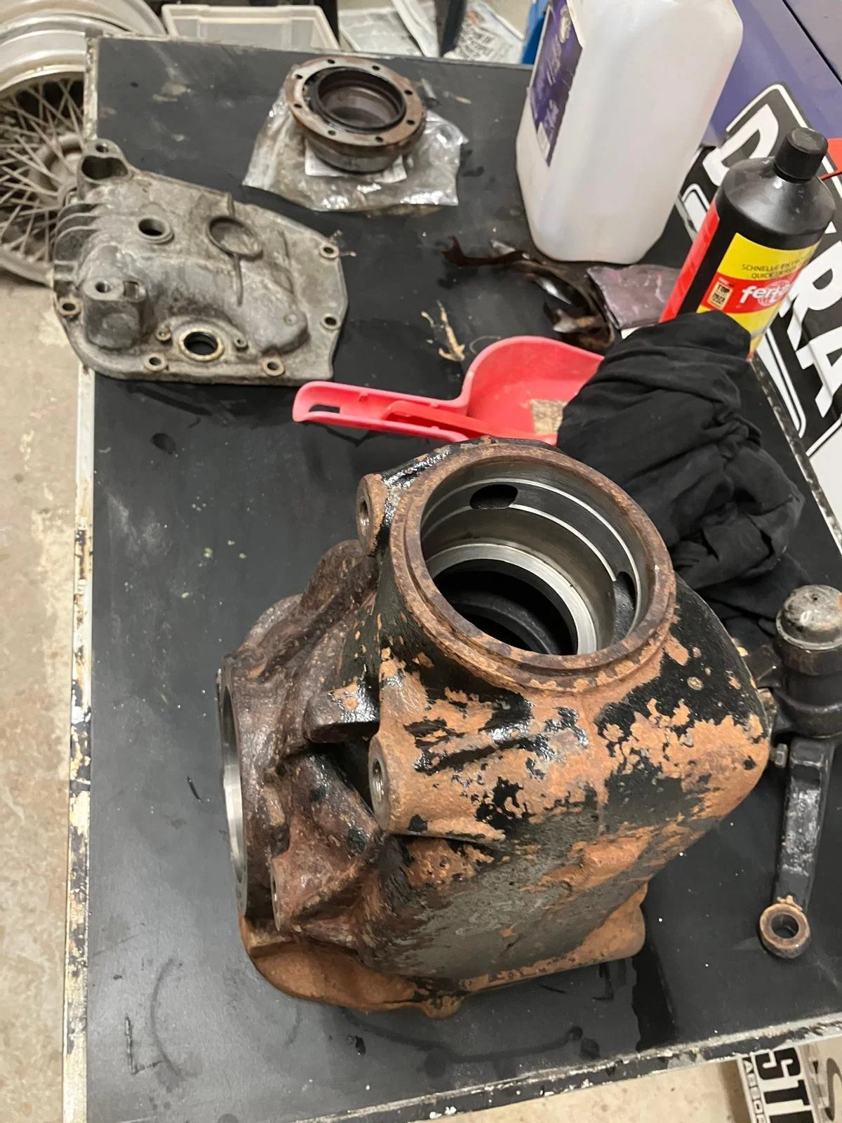 WhatsApp Image 2026-02-15 at 20.55.18 (1).jpeg