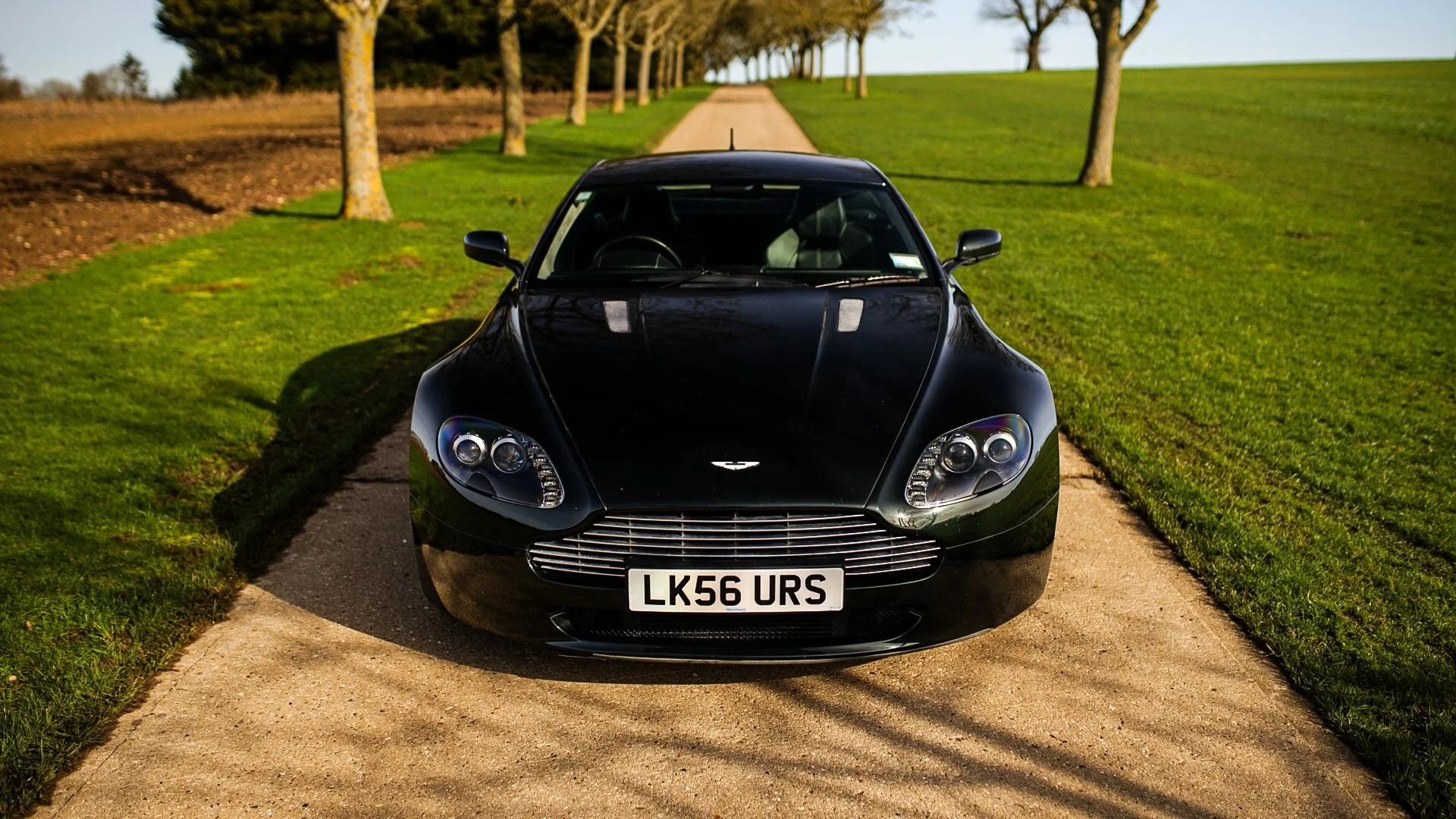 WhatsApp Image 2026-02-24 at 10.26.39 (1).jpeg