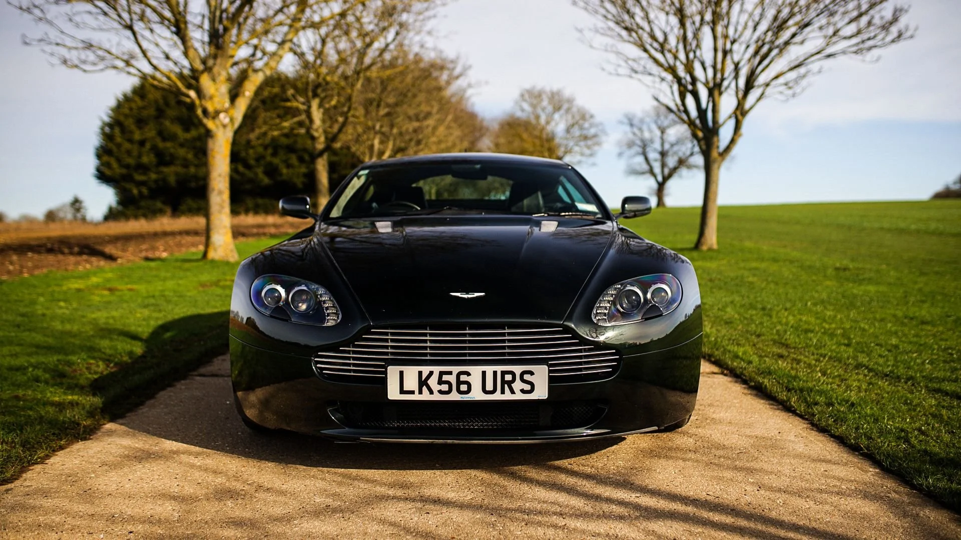 WhatsApp Image 2026-02-24 at 10.26.39.jpeg