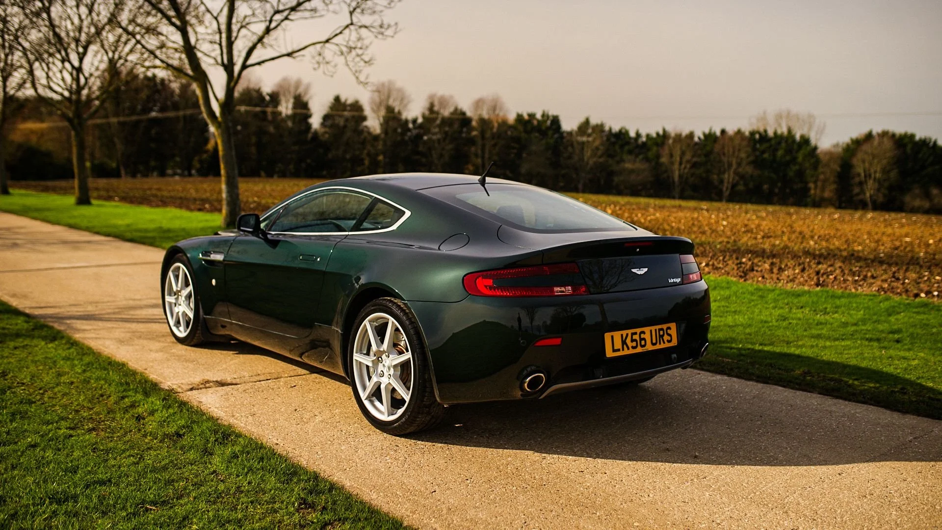 WhatsApp Image 2026-02-24 at 10.26.40 (1).jpeg