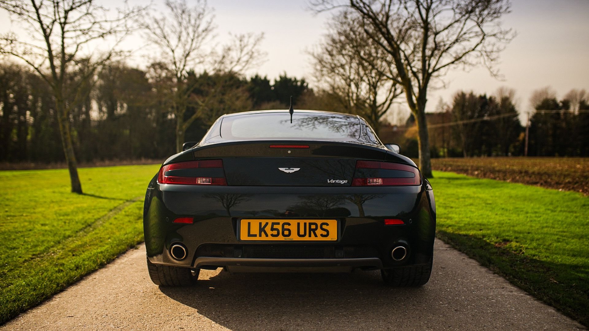 WhatsApp Image 2026-02-24 at 10.26.40 (2).jpeg