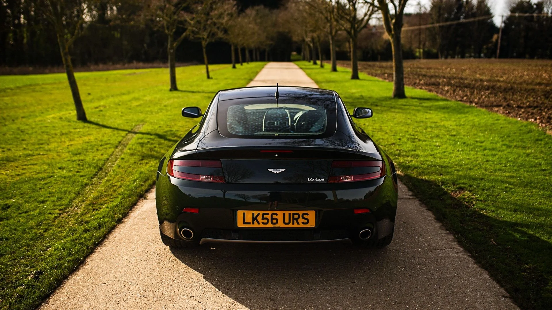 WhatsApp Image 2026-02-24 at 10.26.40 (3).jpeg