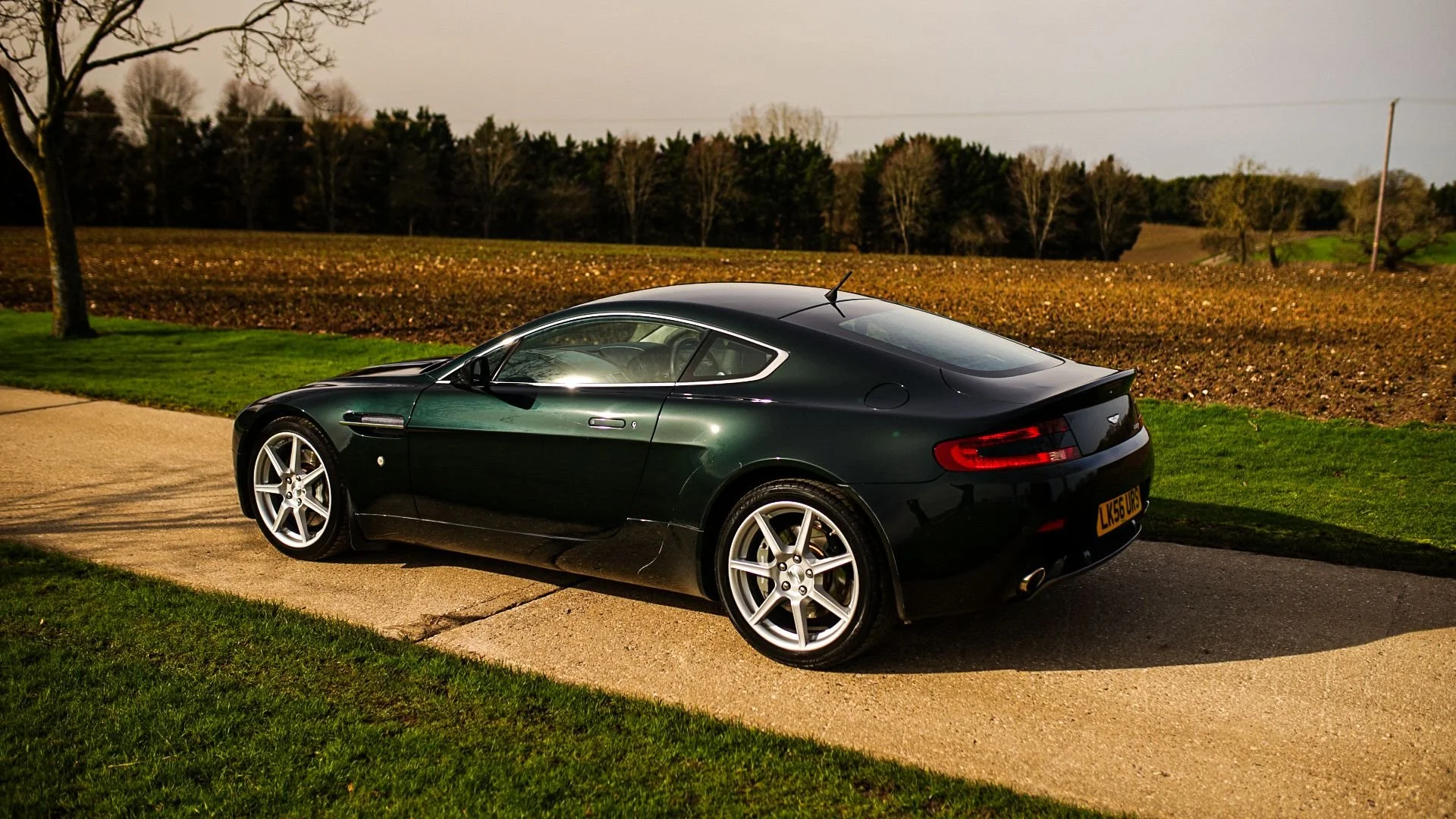 WhatsApp Image 2026-02-24 at 10.26.42 (1).jpeg