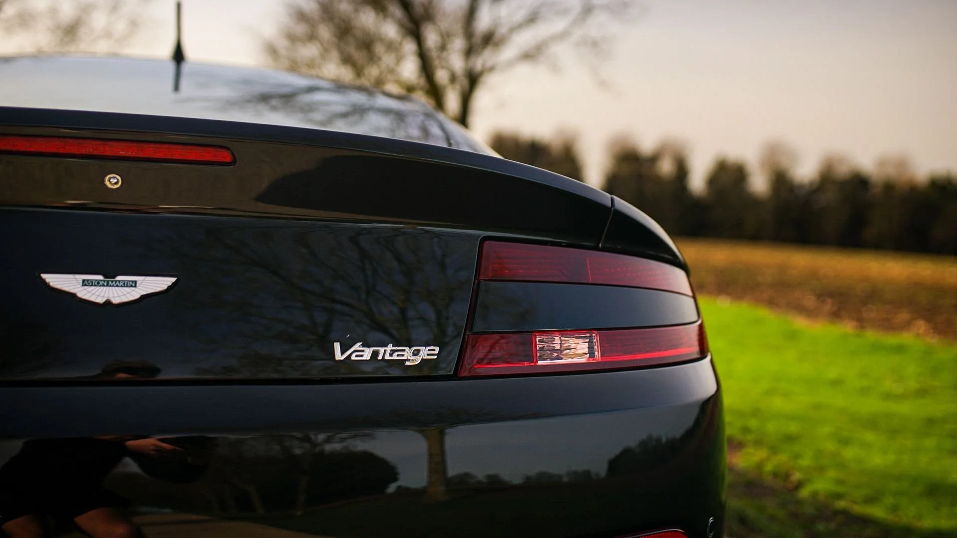 WhatsApp Image 2026-02-24 at 10.26.42 (3).jpeg