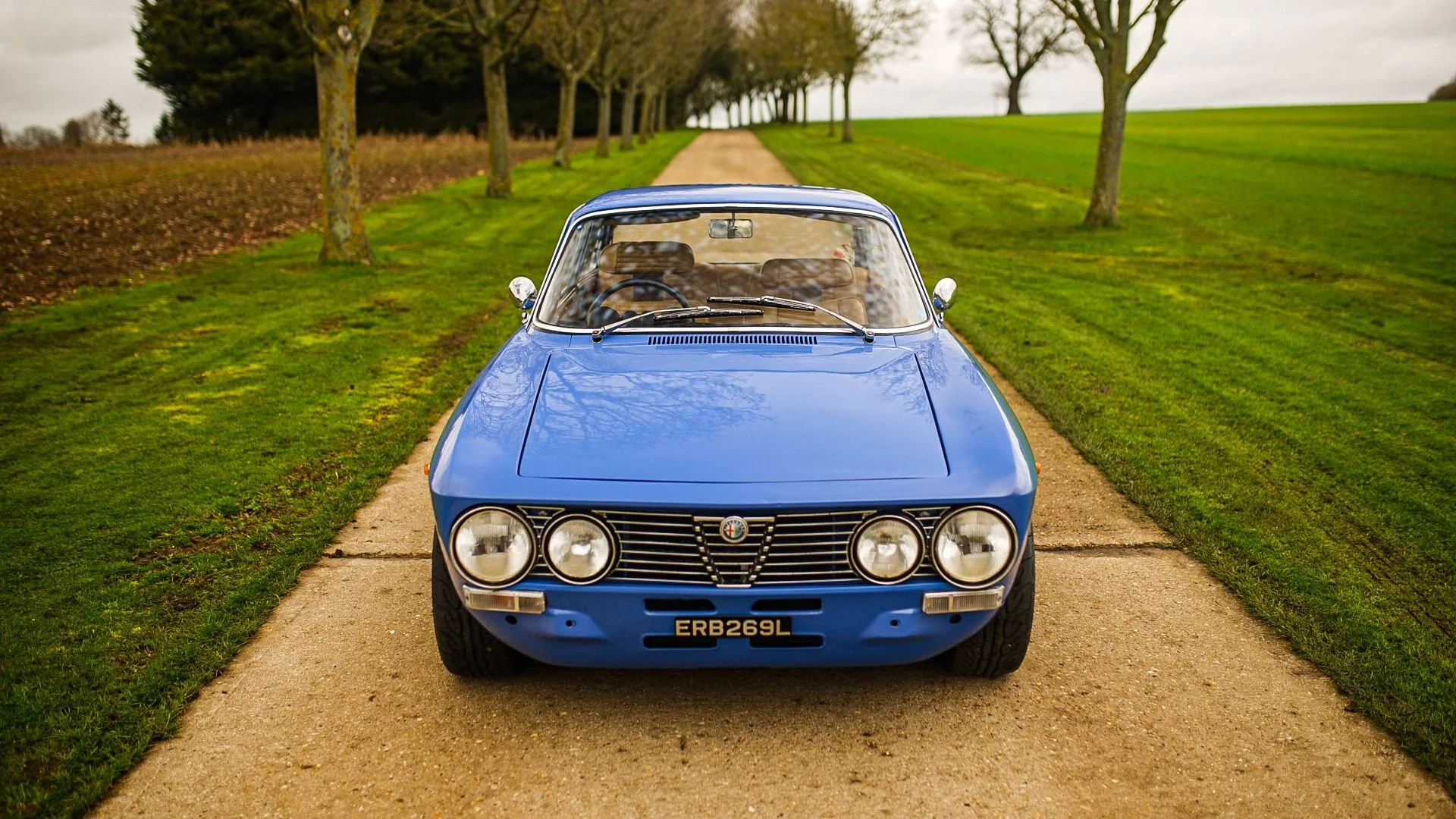 WhatsApp Image 2026-02-27 at 14.20.59.jpeg