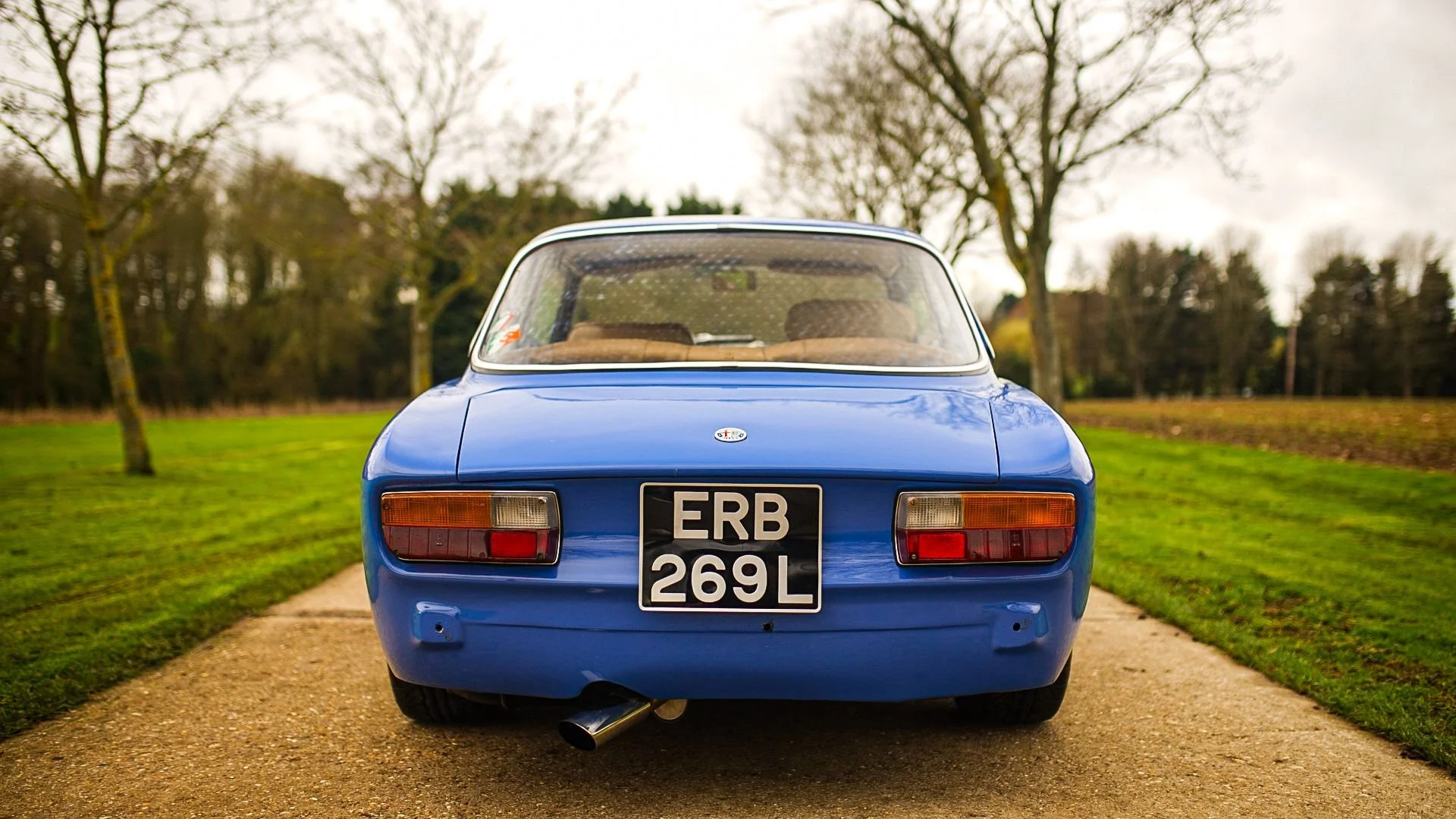 WhatsApp Image 2026-02-27 at 14.21.22.jpeg