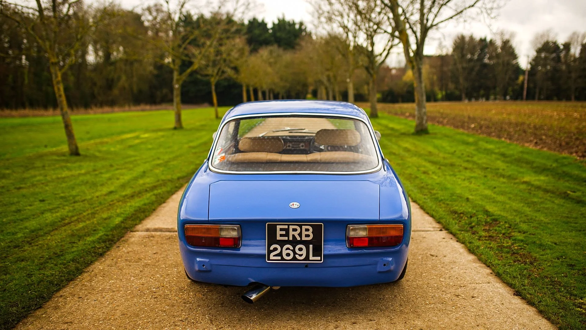 WhatsApp Image 2026-02-27 at 14.21.26.jpeg