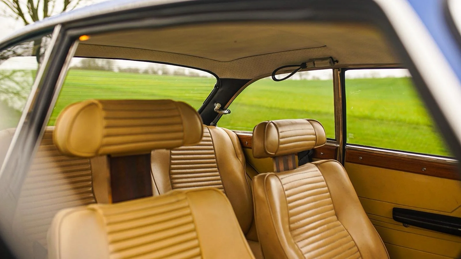 WhatsApp Image 2026-02-27 at 14.22.01.jpeg