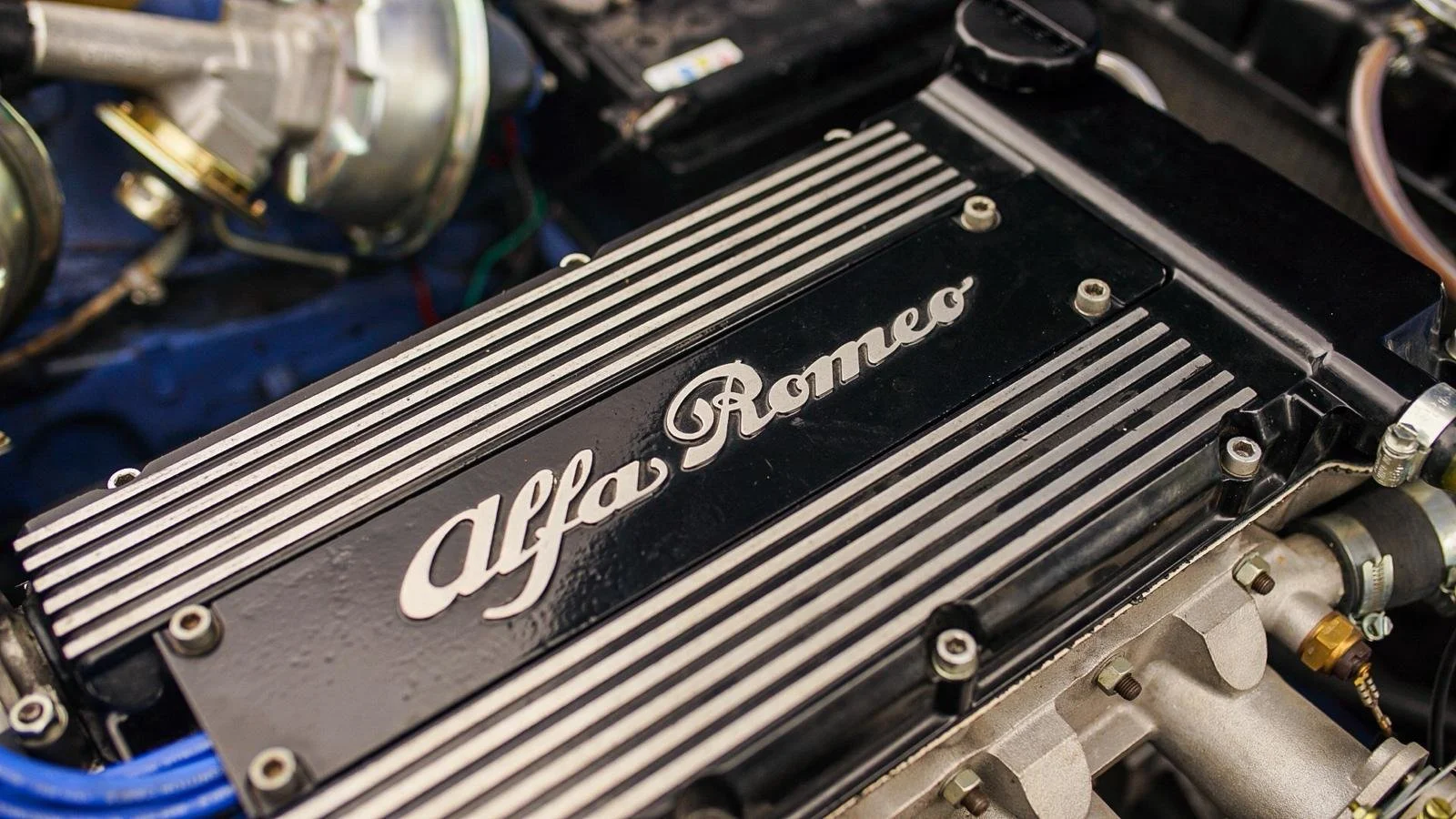 WhatsApp Image 2026-02-27 at 14.22.05.jpeg