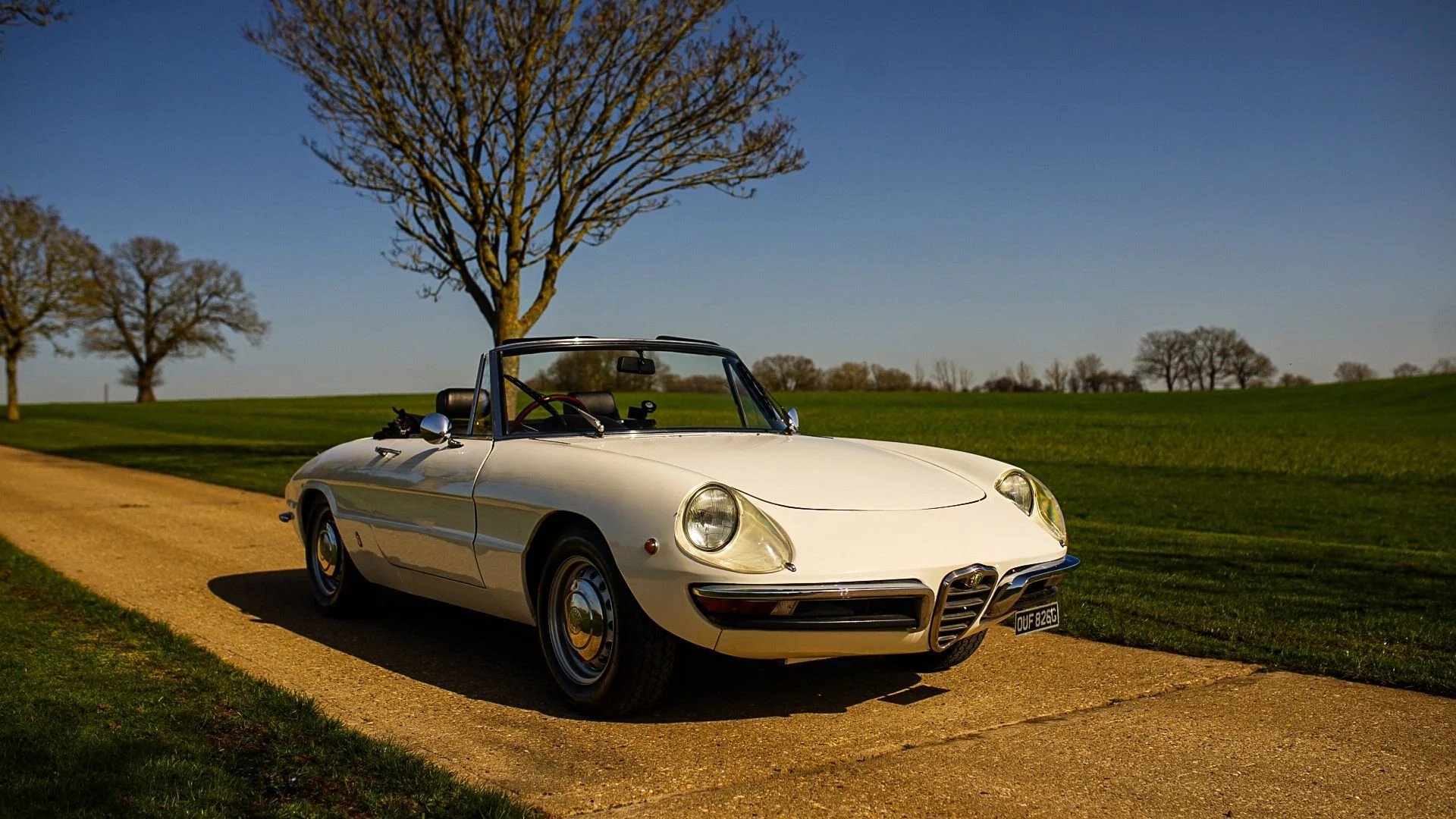 WhatsApp Image 2026-03-06 at 15.05.26 (1).jpeg