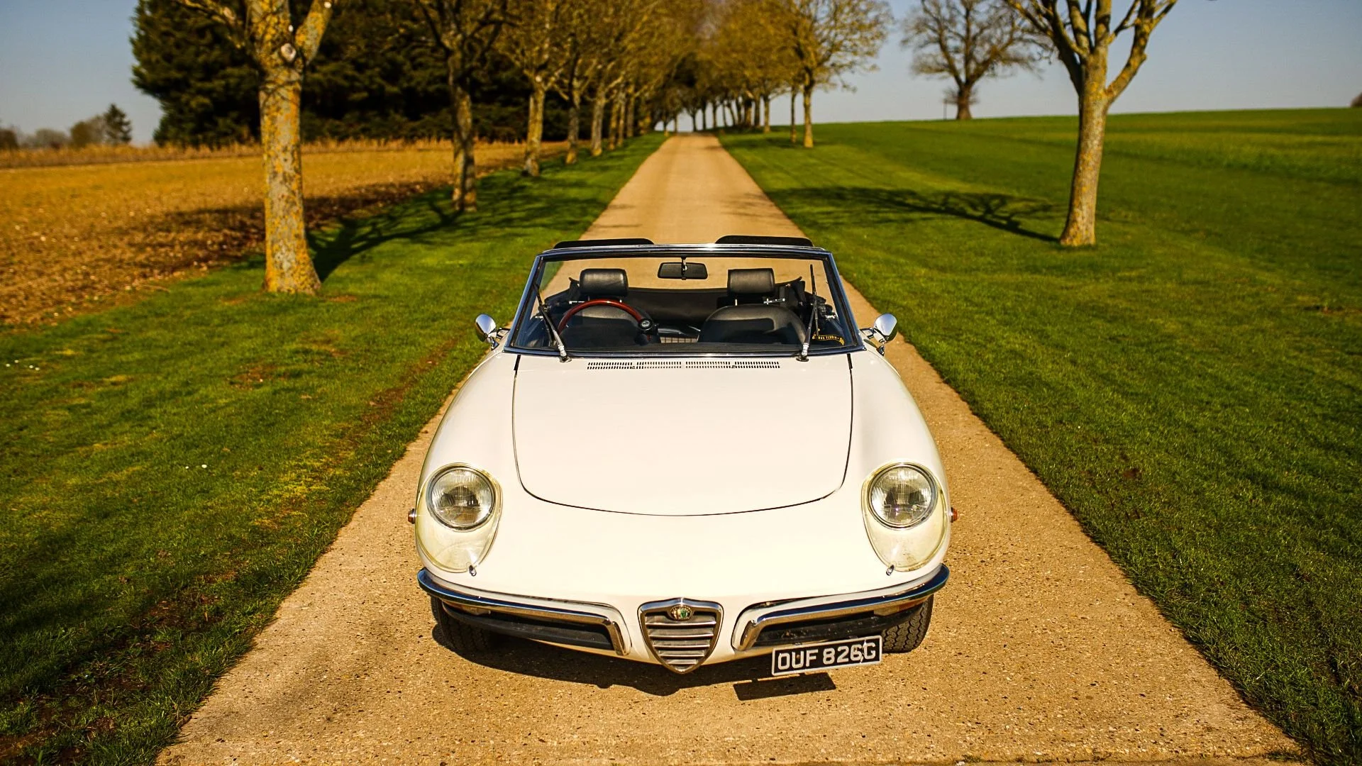 WhatsApp Image 2026-03-06 at 15.05.26.jpeg