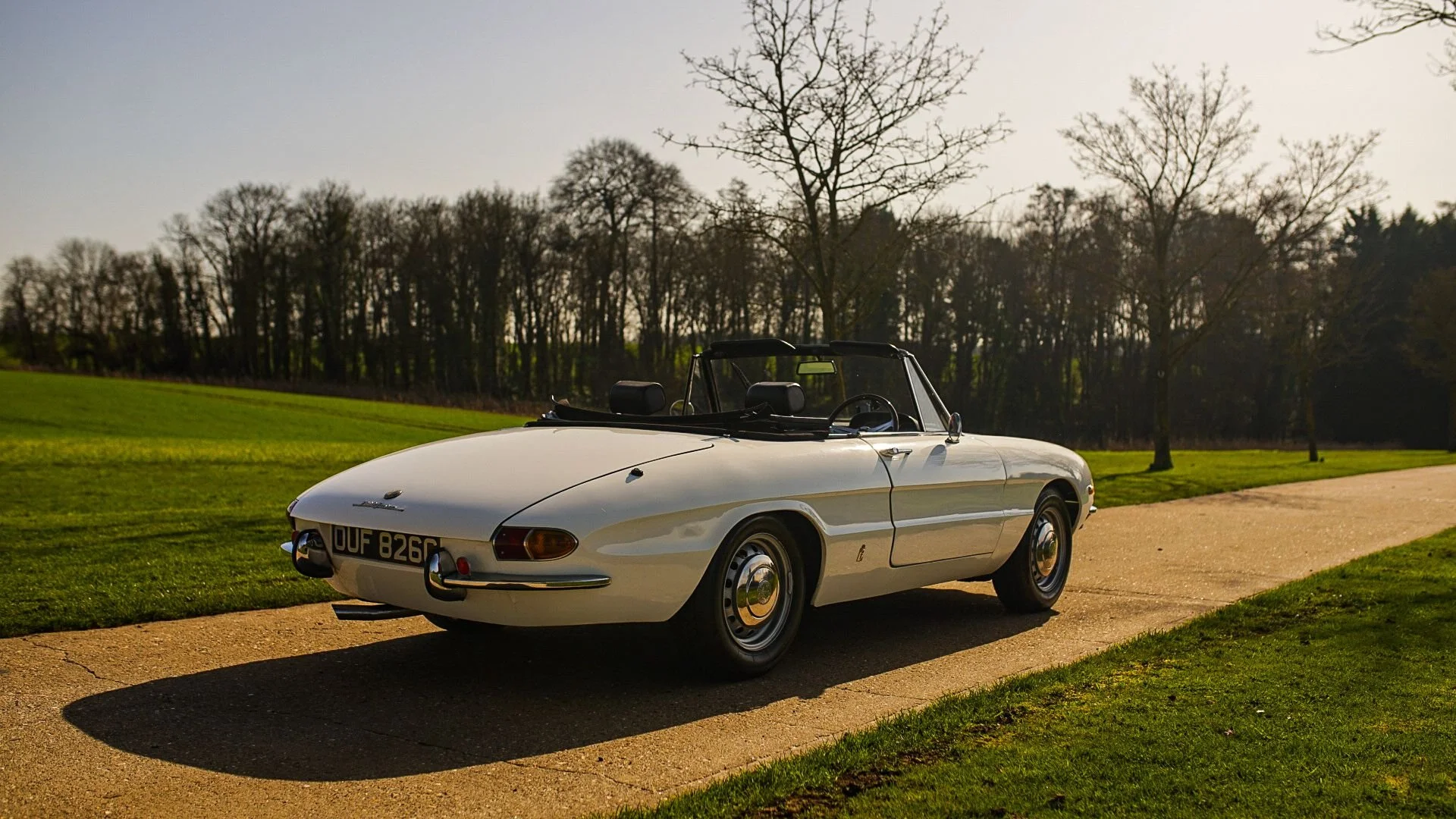 WhatsApp Image 2026-03-06 at 15.05.27.jpeg