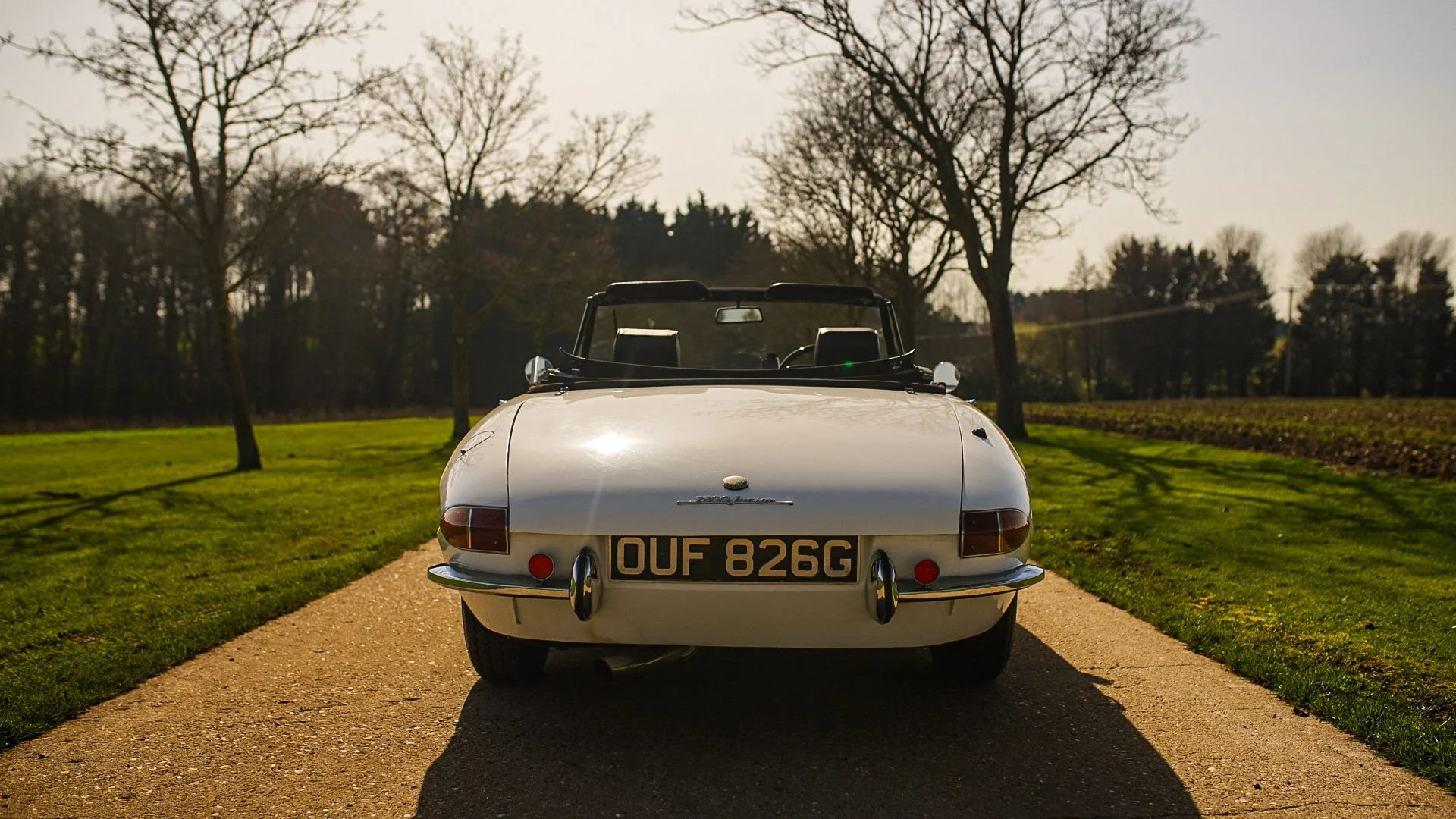 WhatsApp Image 2026-03-06 at 15.05.27 (1).jpeg