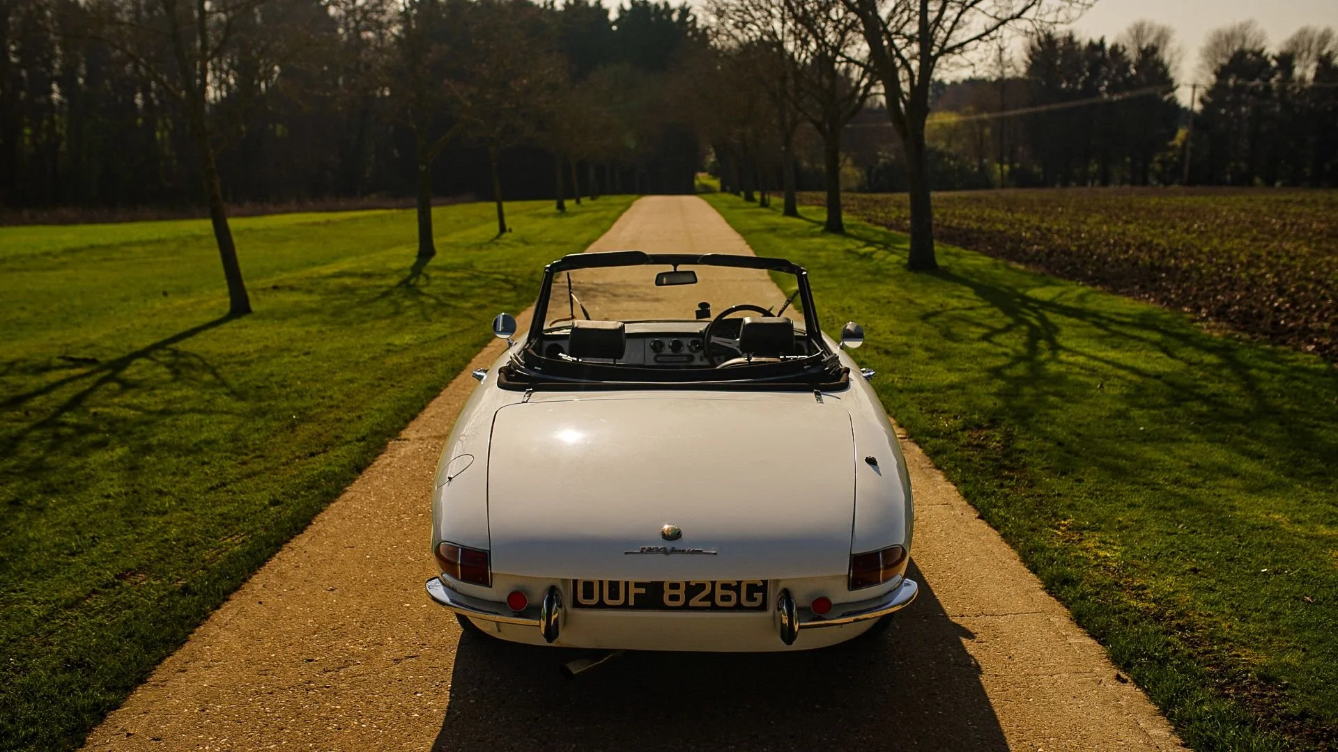 WhatsApp Image 2026-03-06 at 15.05.27 (2).jpeg