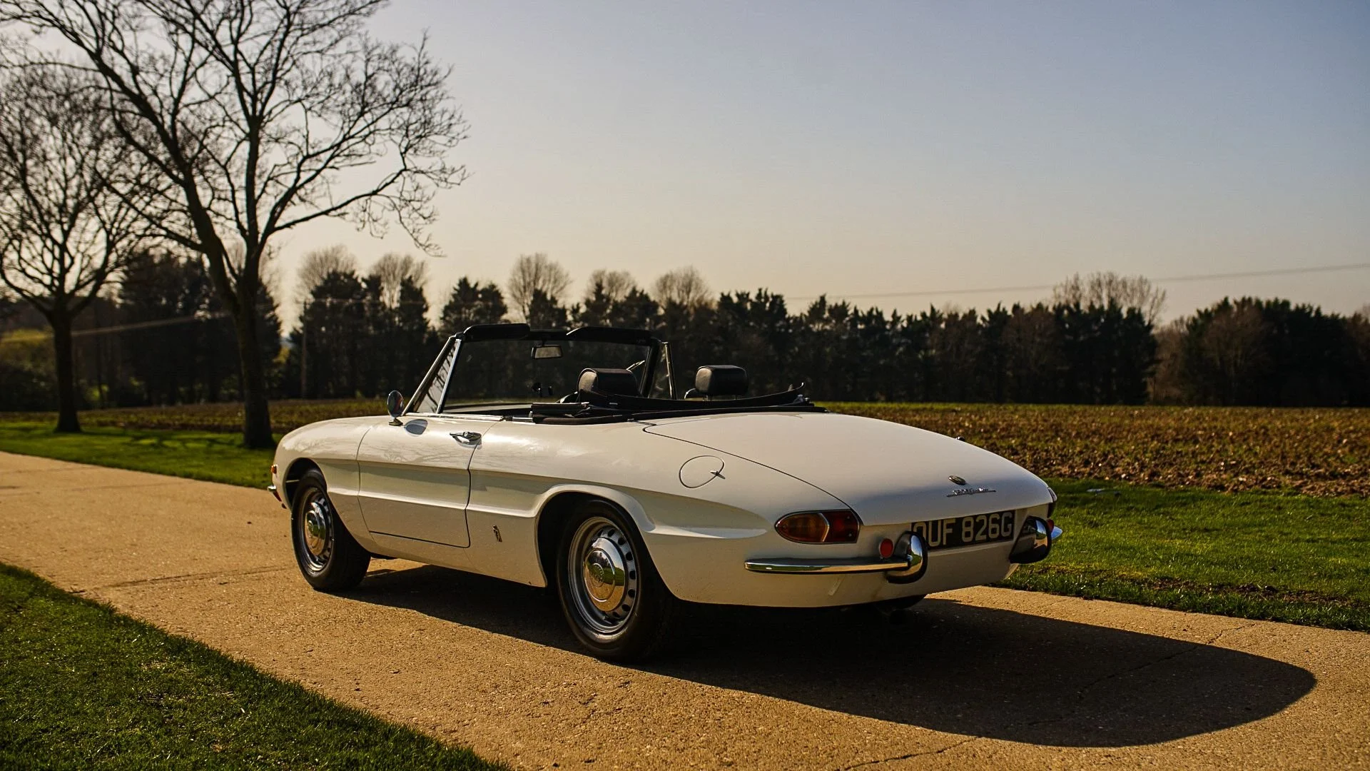 WhatsApp Image 2026-03-06 at 15.05.28.jpeg