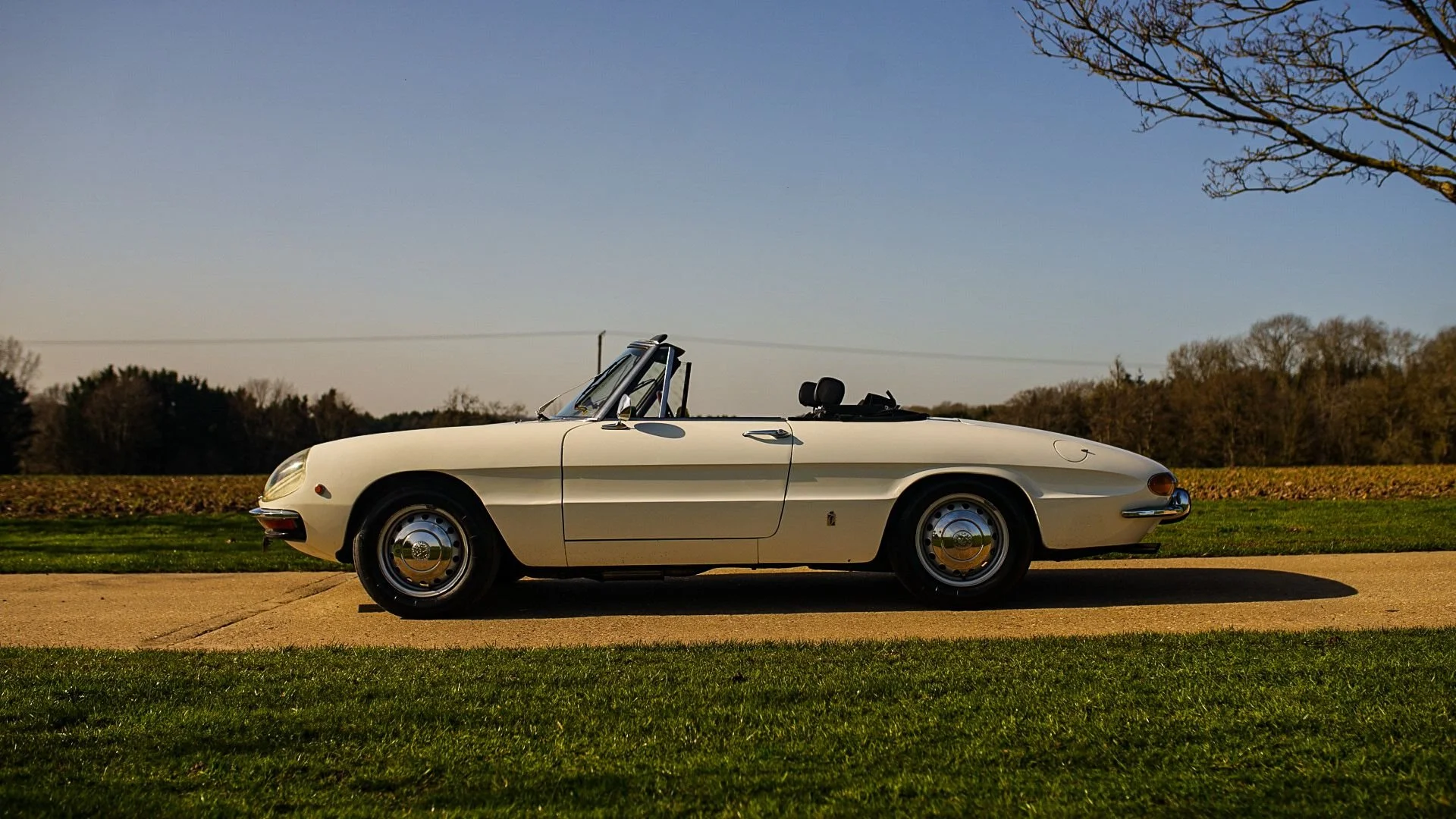 WhatsApp Image 2026-03-06 at 15.05.28 (1).jpeg