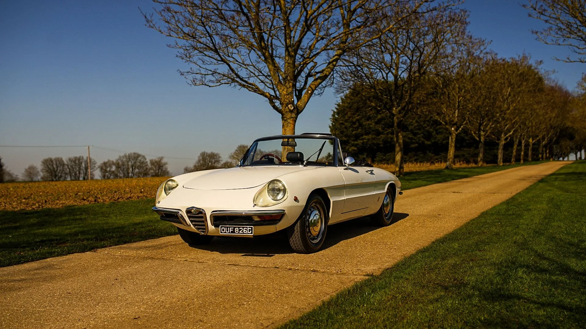 WhatsApp Image 2026-03-06 at 15.05.28 (2).jpeg