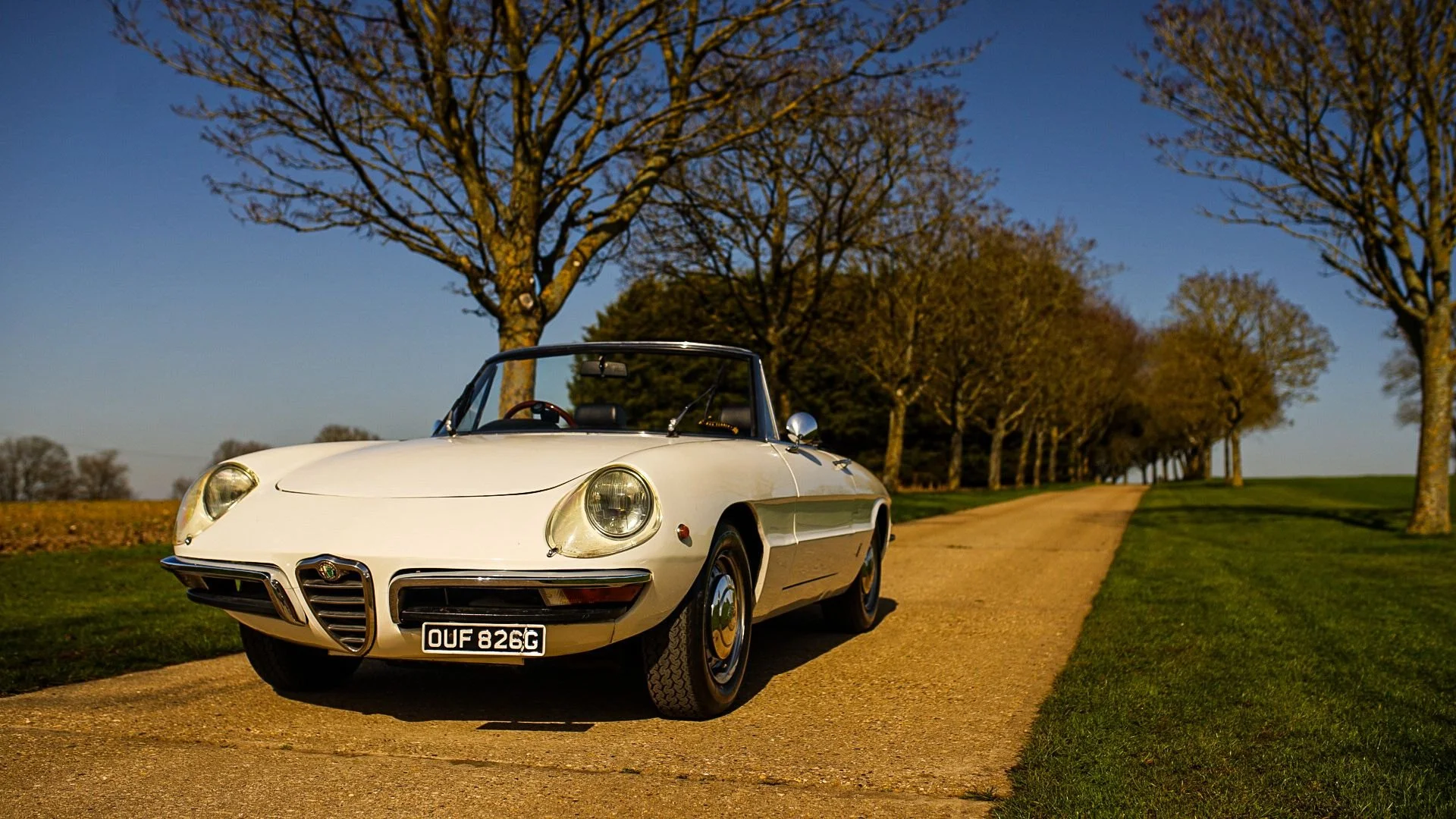 WhatsApp Image 2026-03-06 at 15.05.28 (3).jpeg