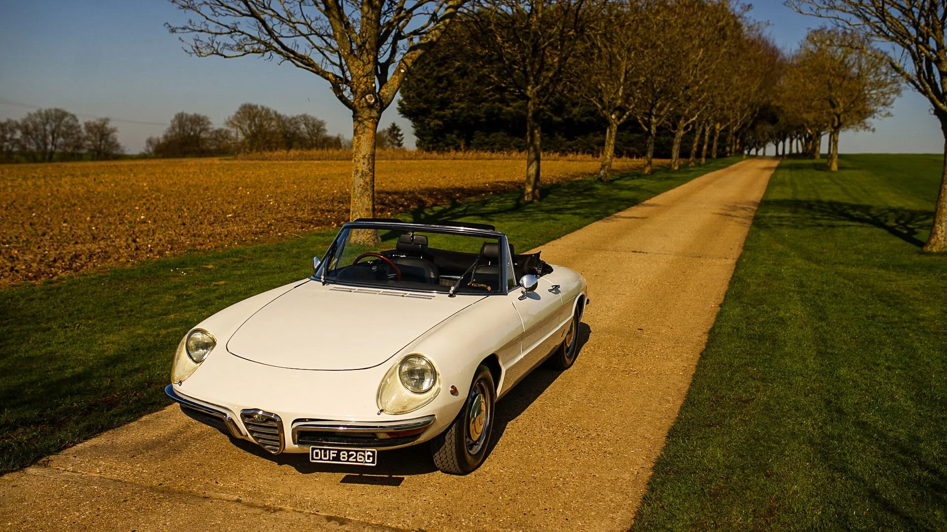 WhatsApp Image 2026-03-06 at 15.05.29.jpeg