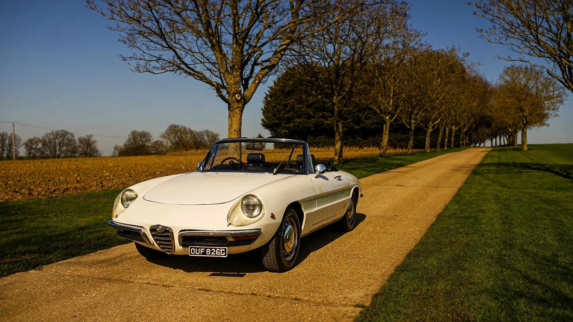 WhatsApp Image 2026-03-06 at 15.05.29 (1).jpeg