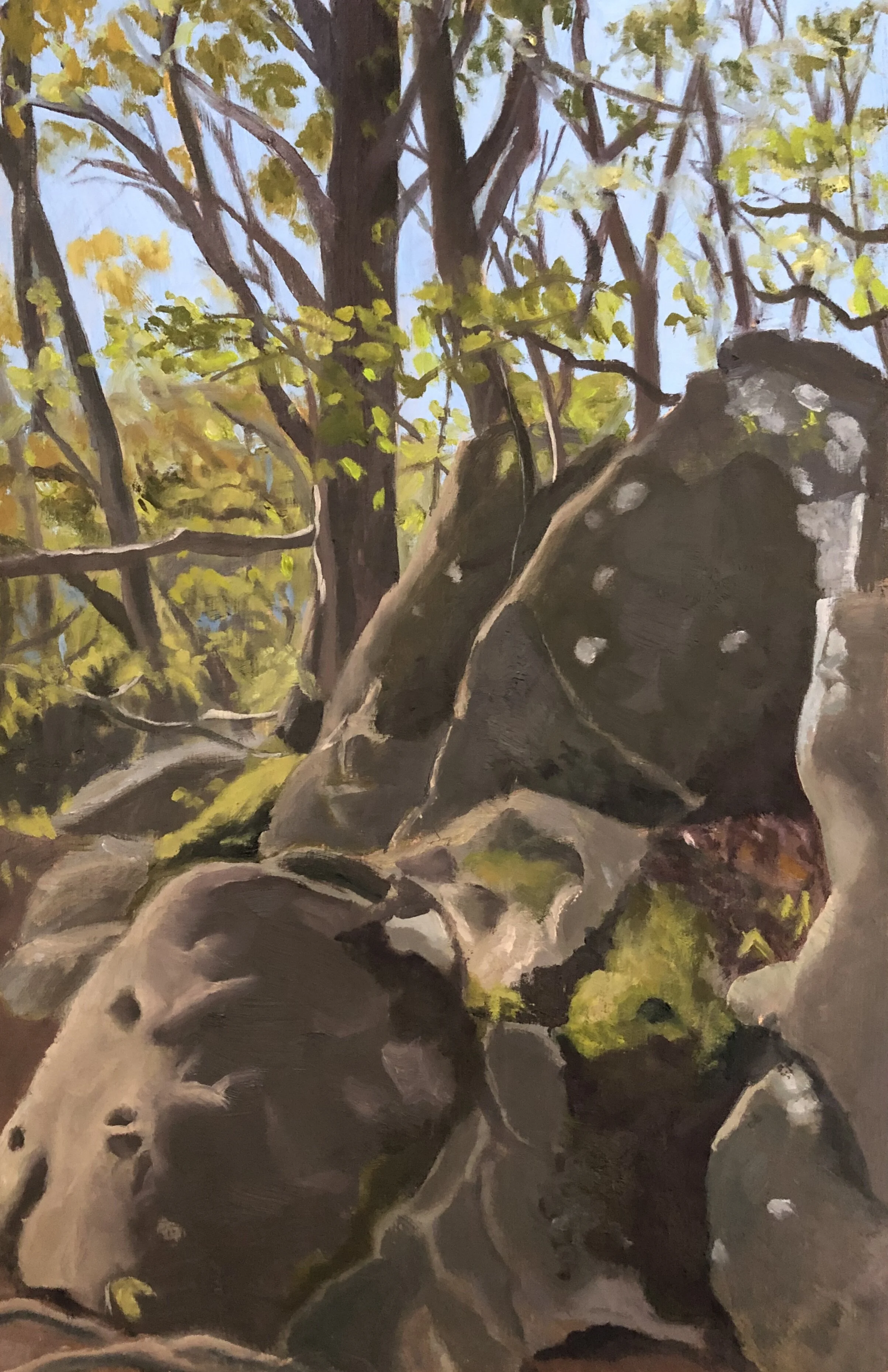 Under the Boulder Bridge