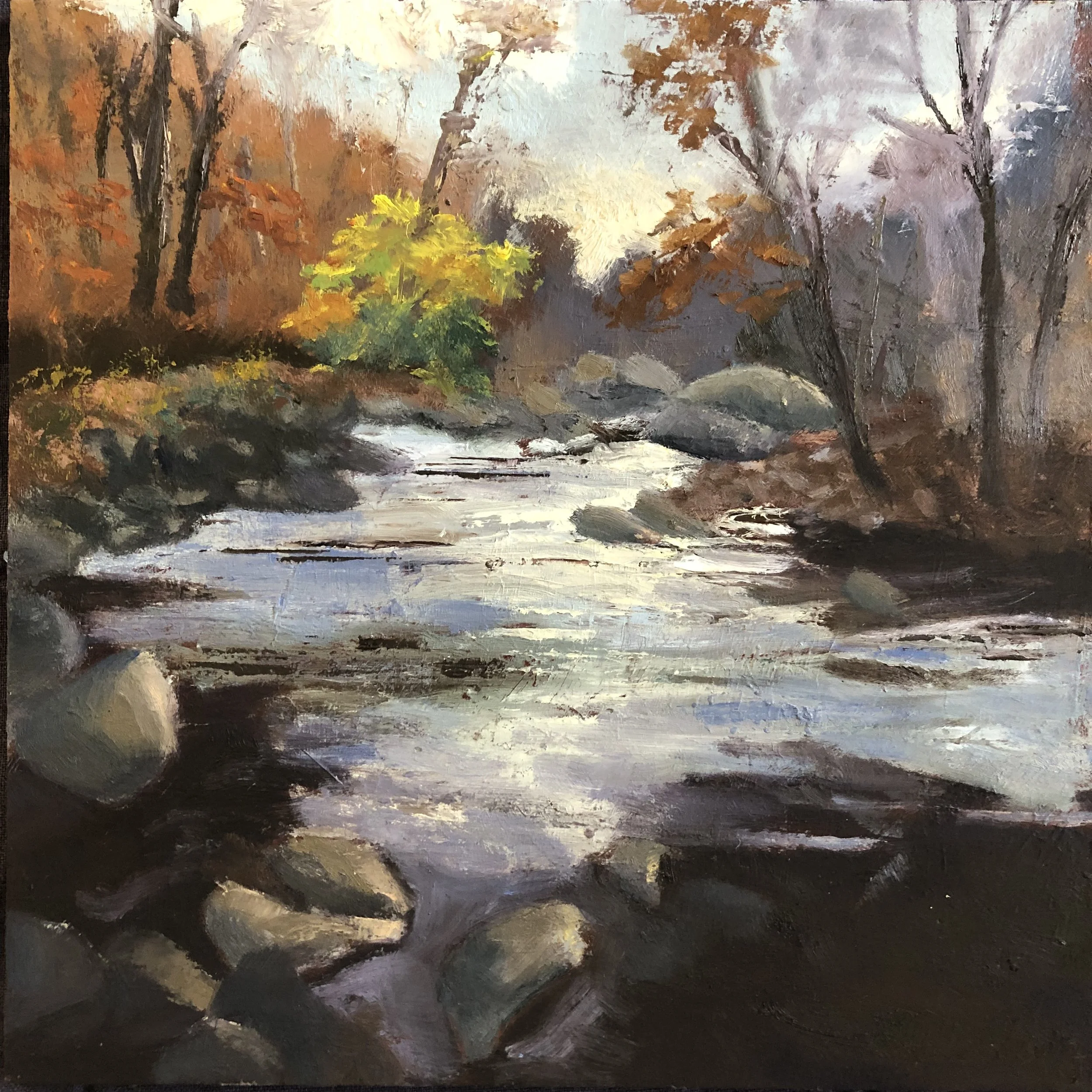 Late Day Rock Creek Park