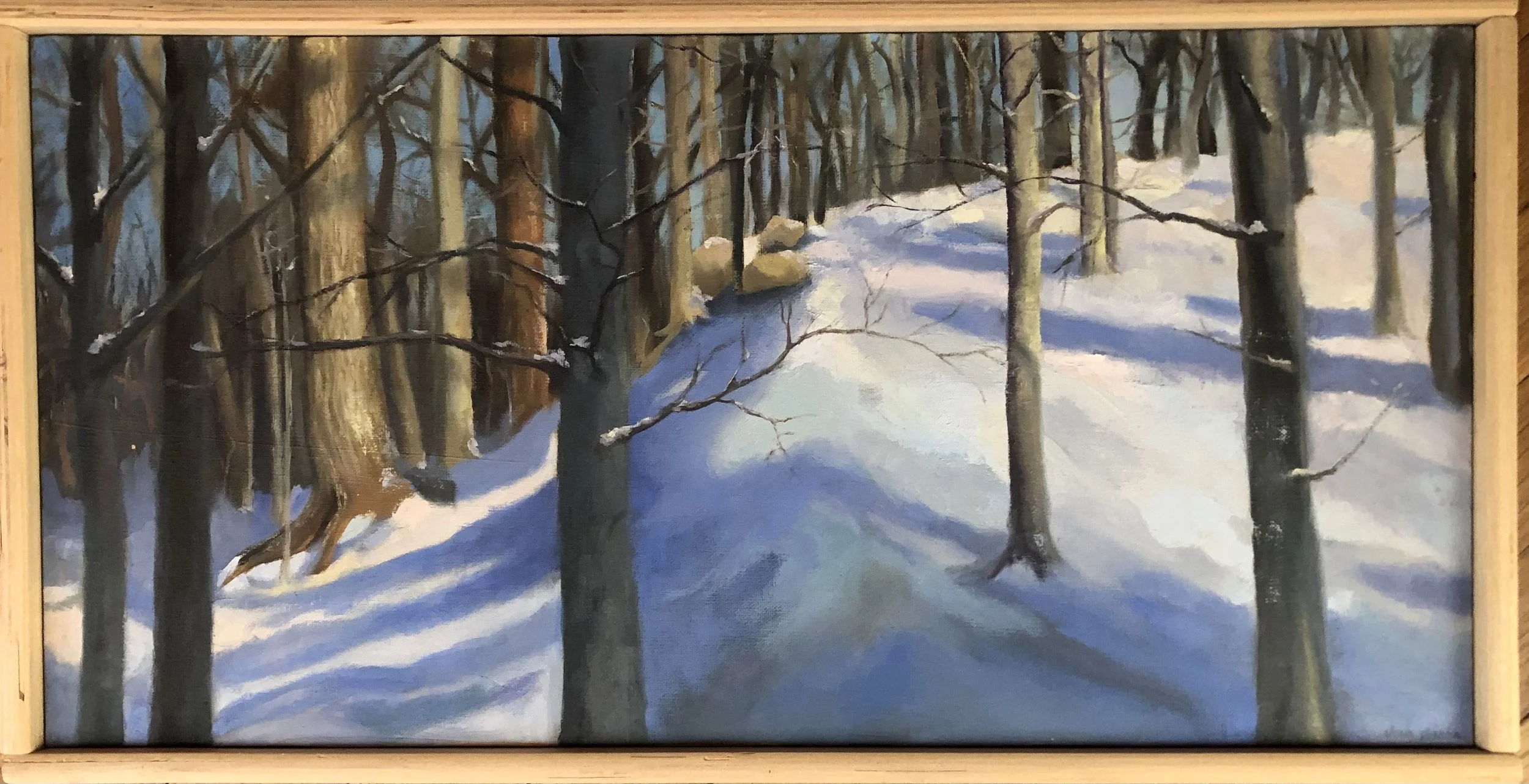 Winter Woods