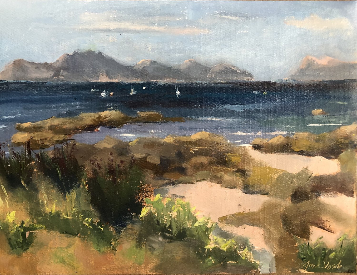 Distant Islands (Vigo 2)