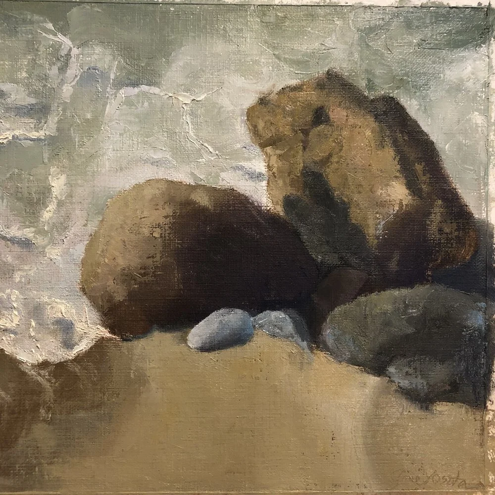 View from the Boardwalk