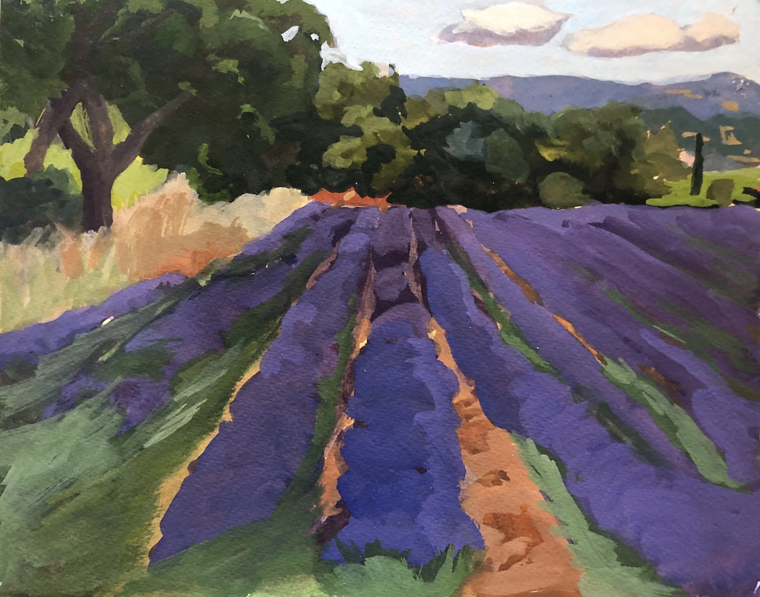 Lavender field towards Apt