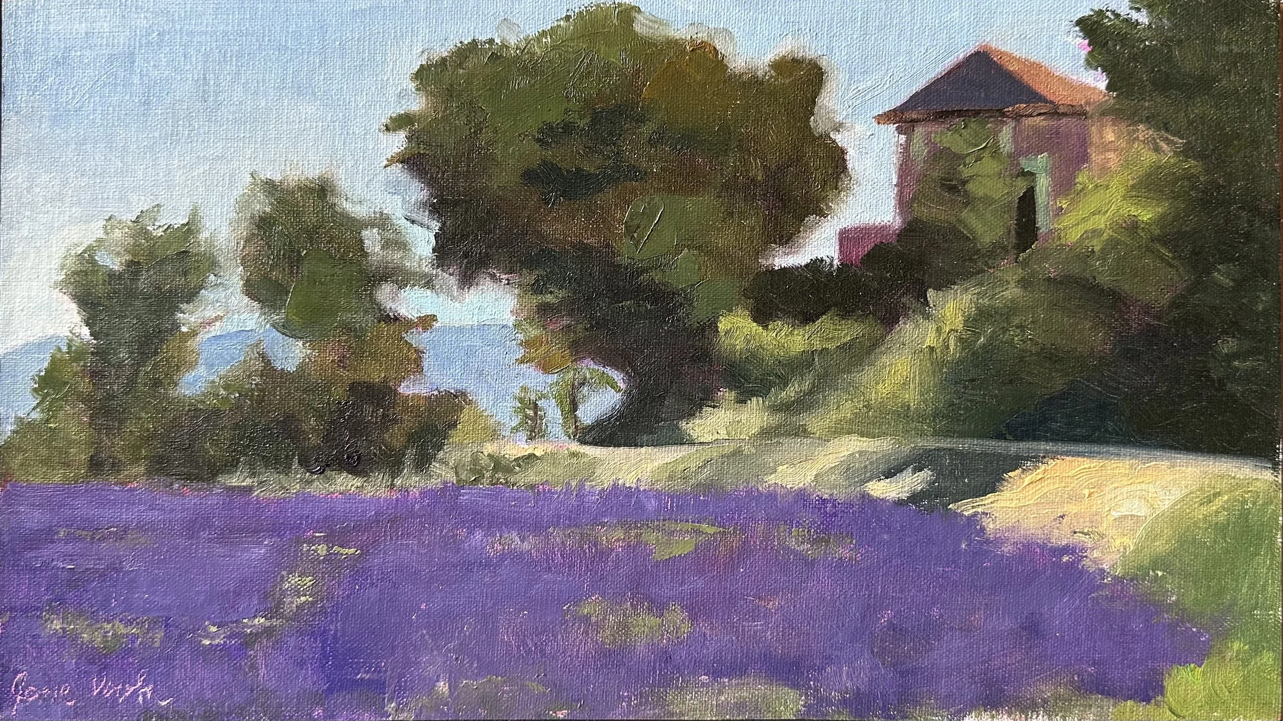 Lavender towards Bonnieux