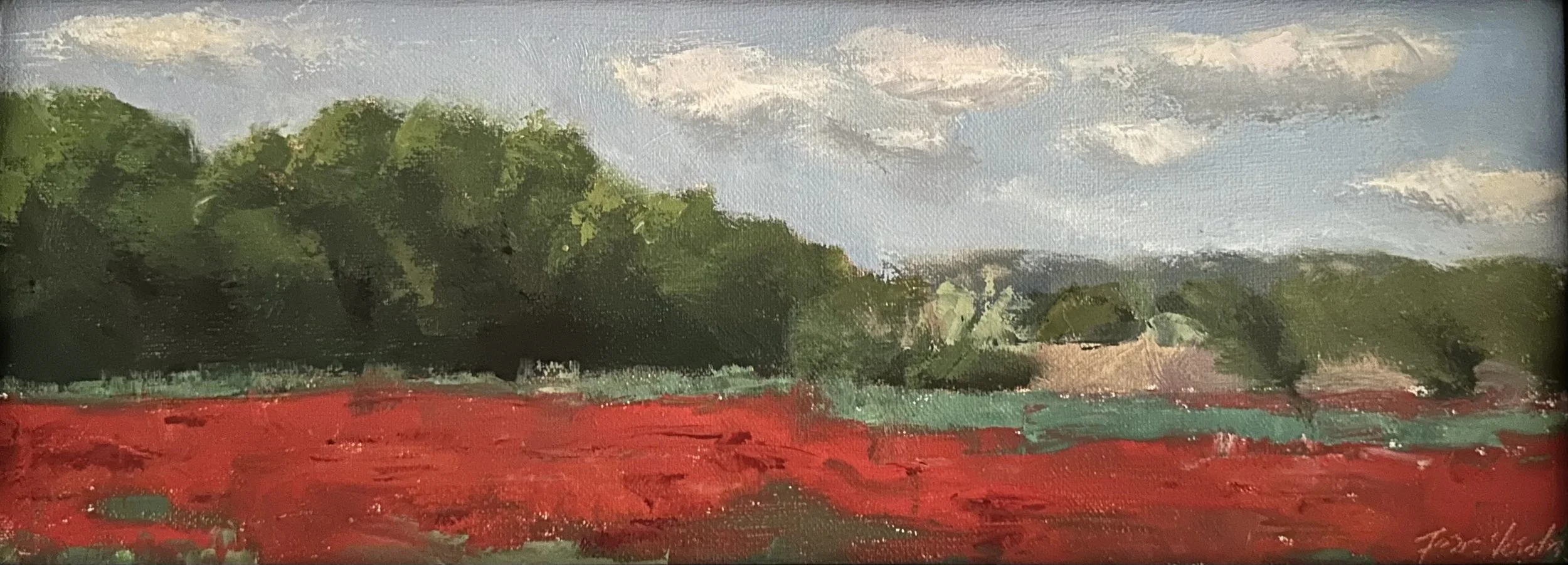 Poppy Field