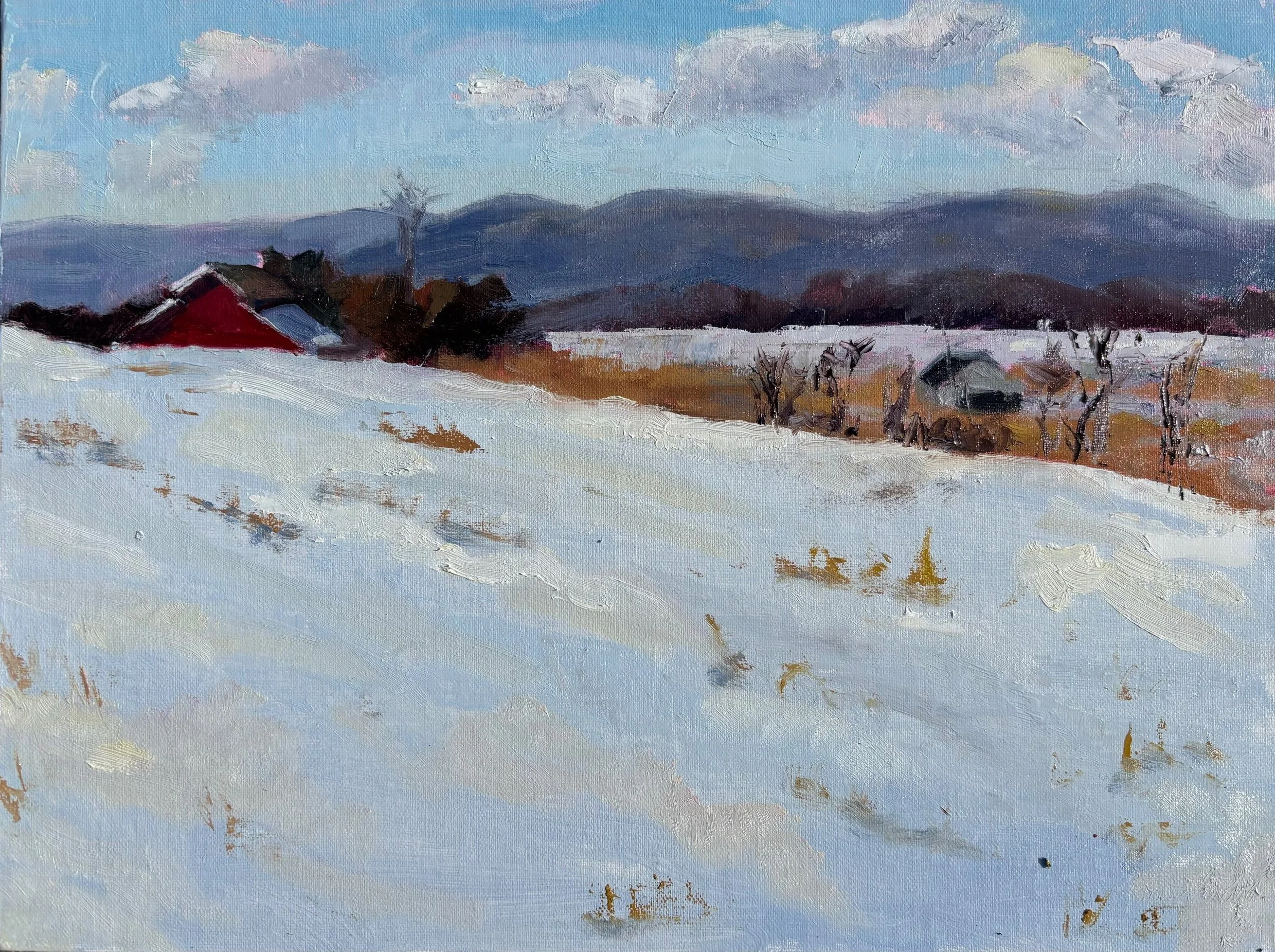 Winter View-Virginia